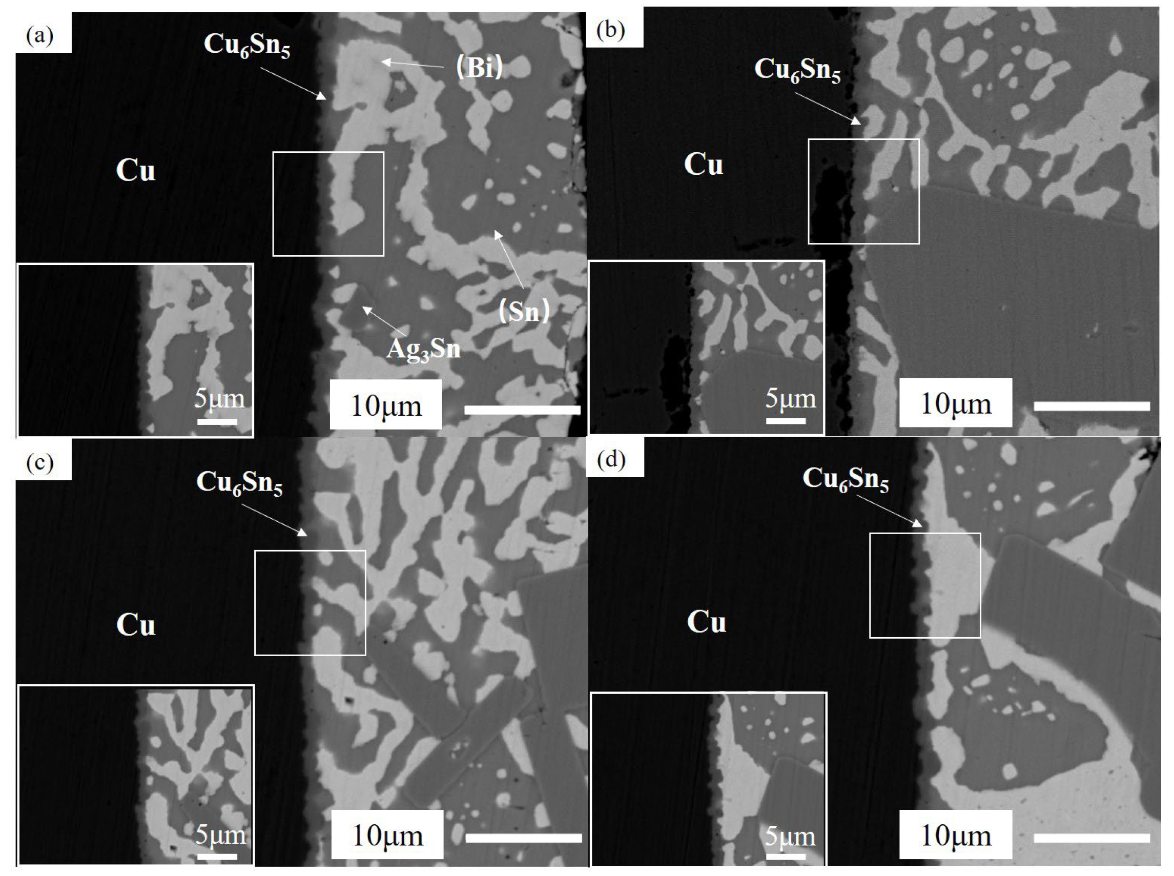 Coatings 13 00285 g020