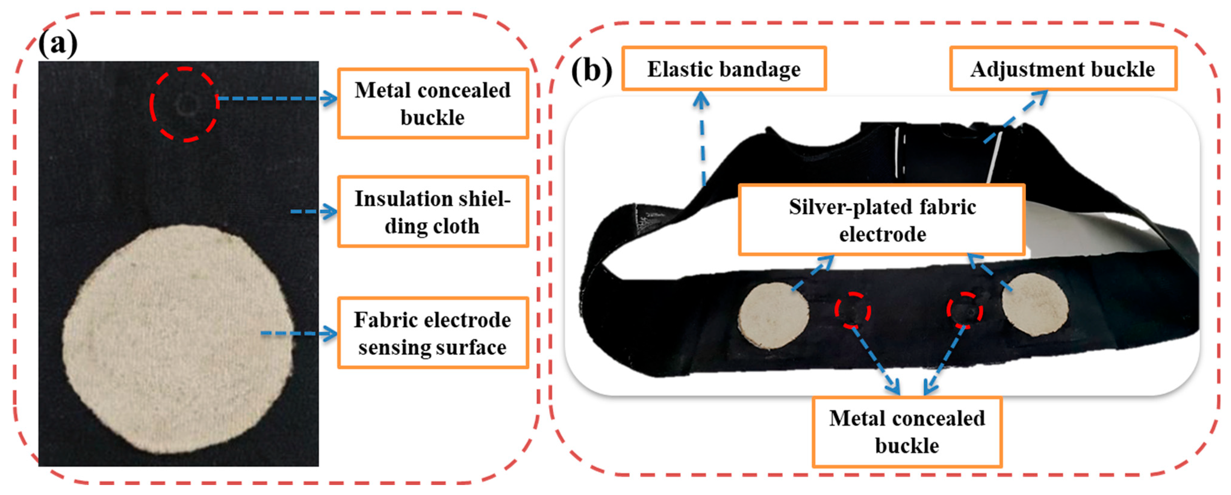 Coatings 13 00289 g001