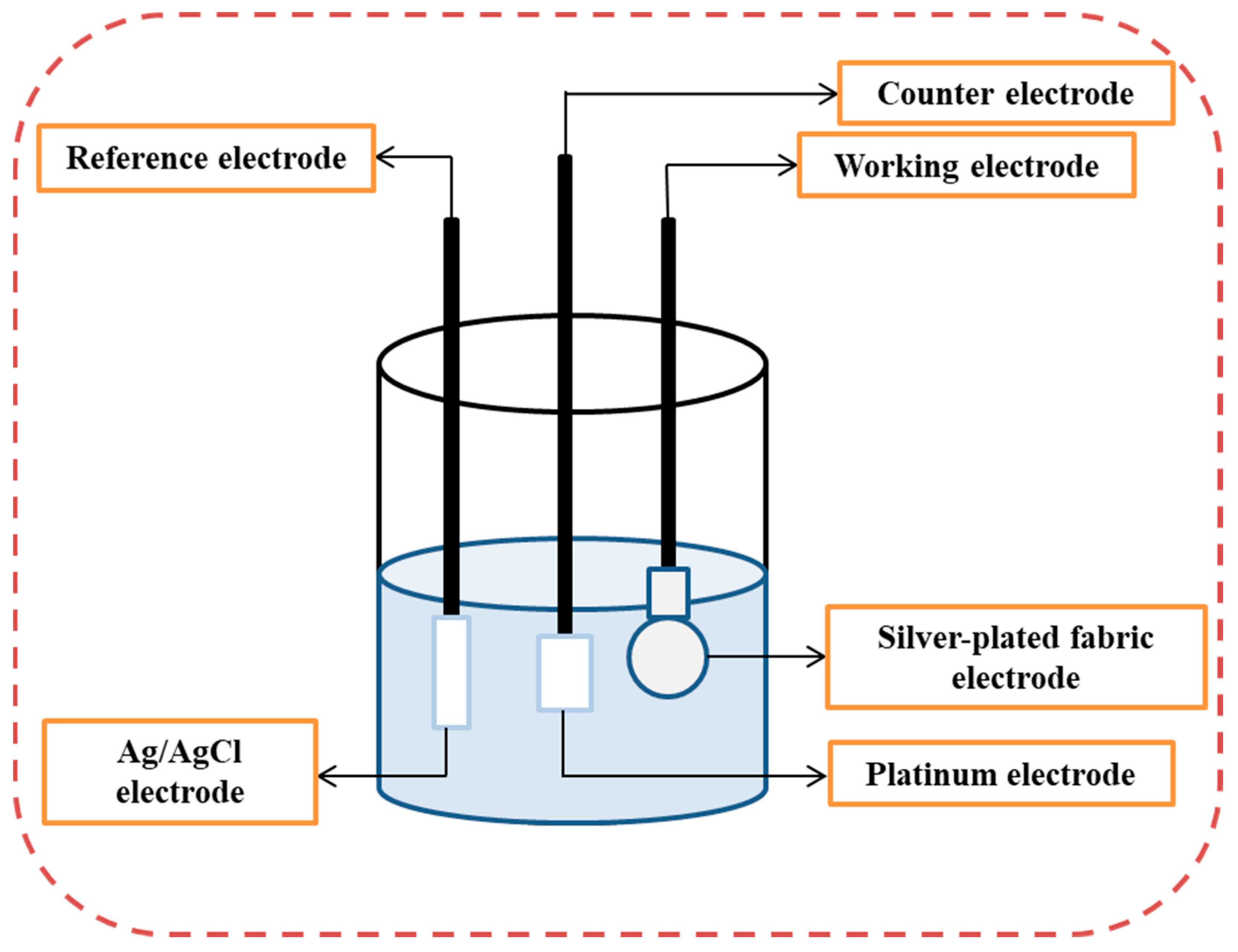 Coatings 13 00289 g002