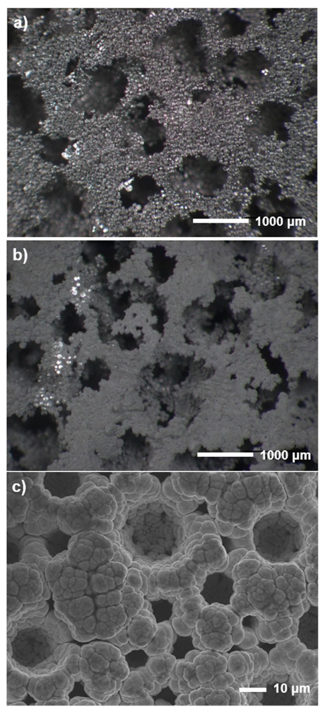Coatings 13 00290 g002 Coatings 13 00290 g002
