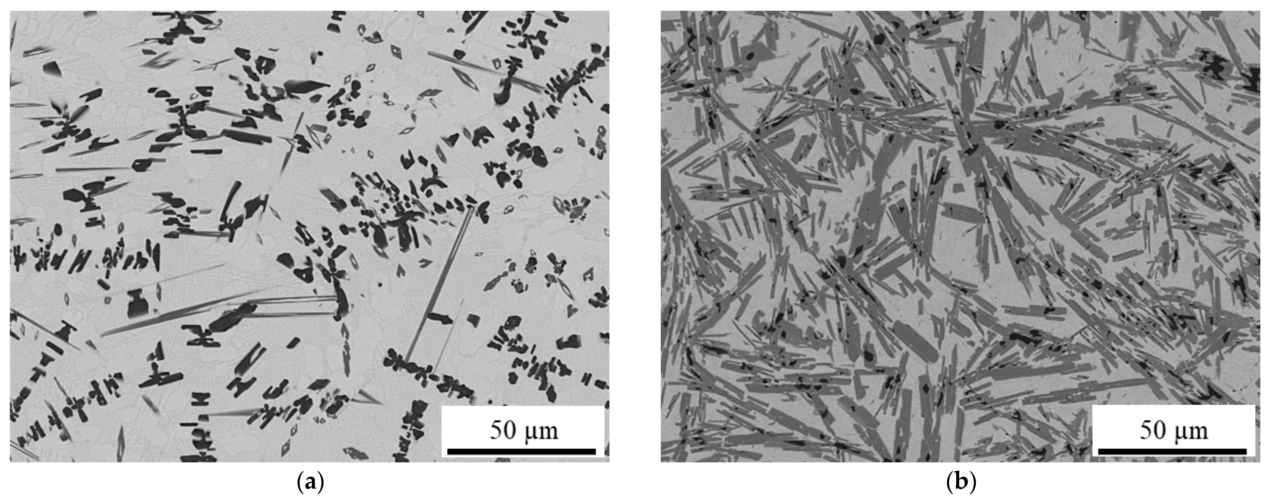 Coatings 13 00291 g002