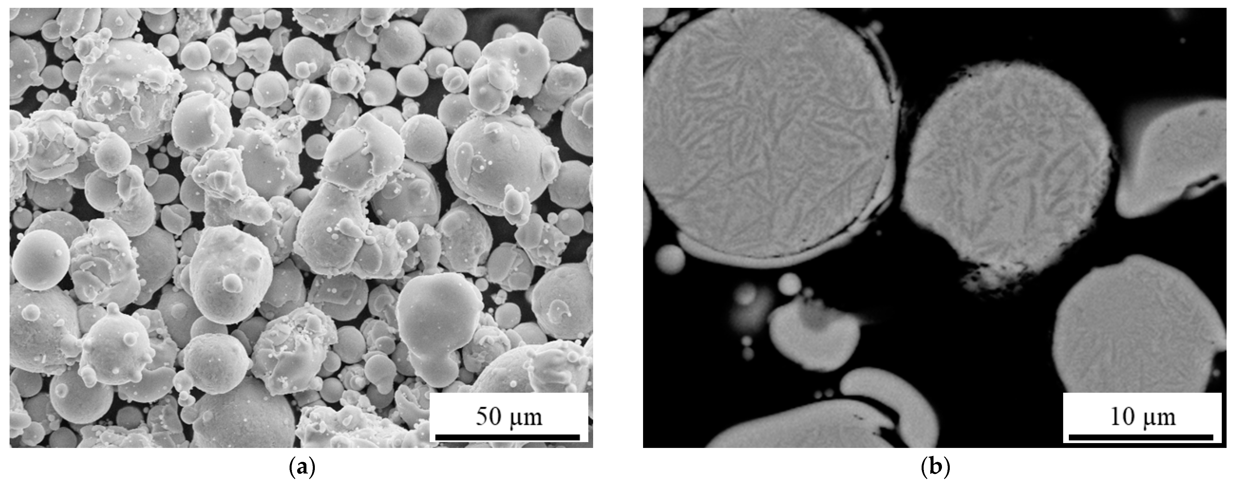 Coatings 13 00291 g003
