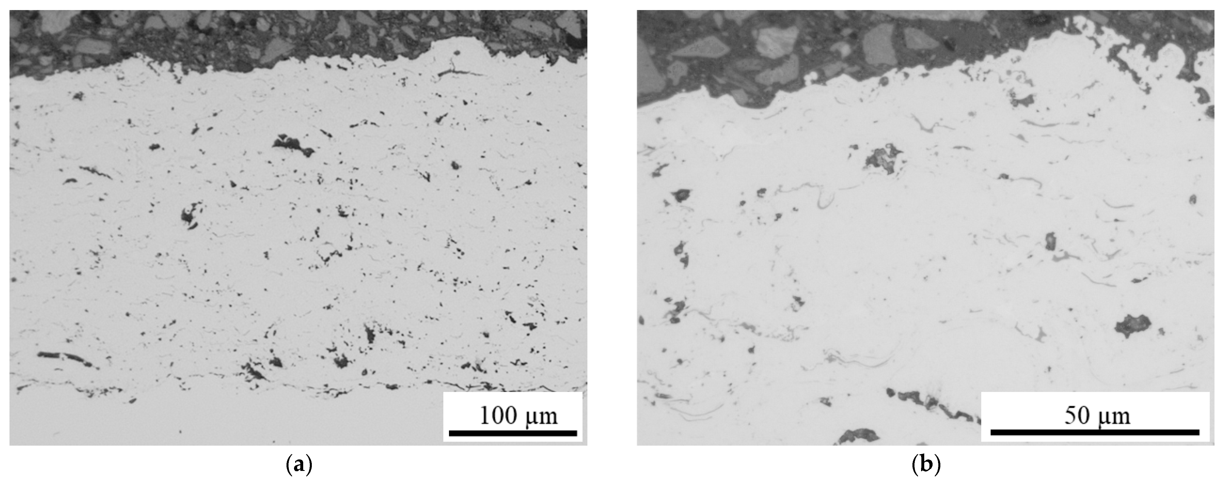 Coatings 13 00291 g004