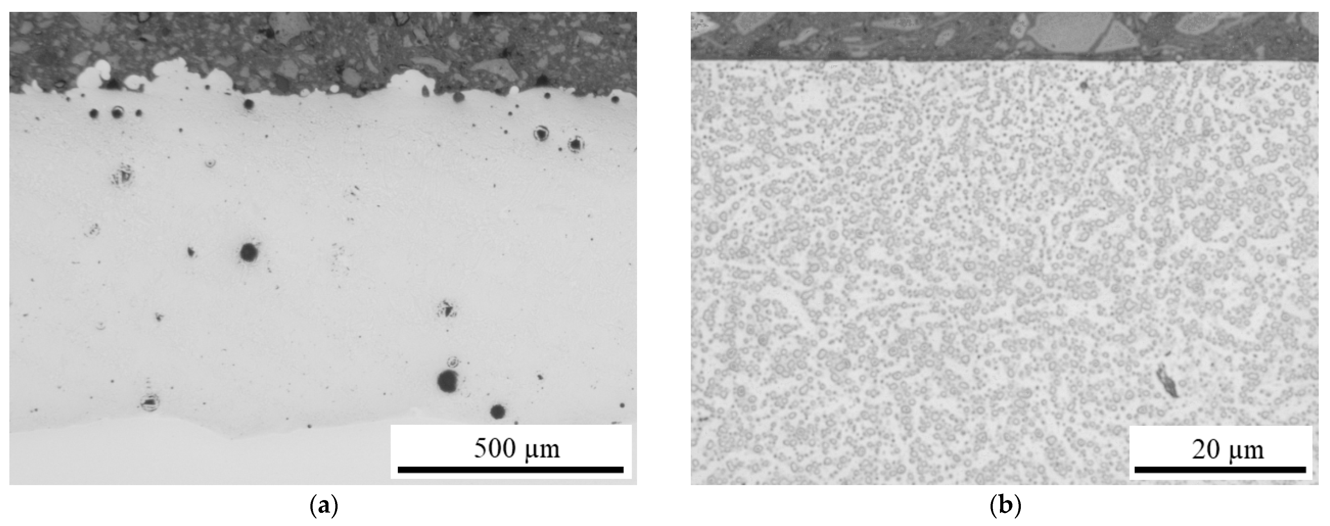Coatings 13 00291 g005