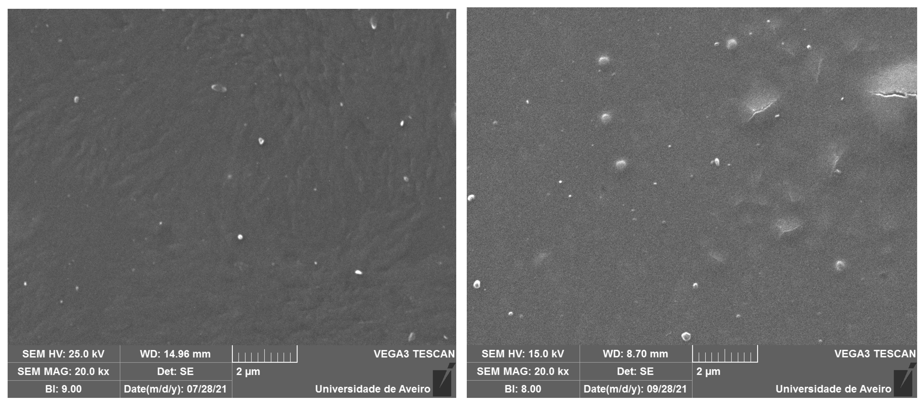 Coatings 13 00294 g002 Coatings 13 00294 g002