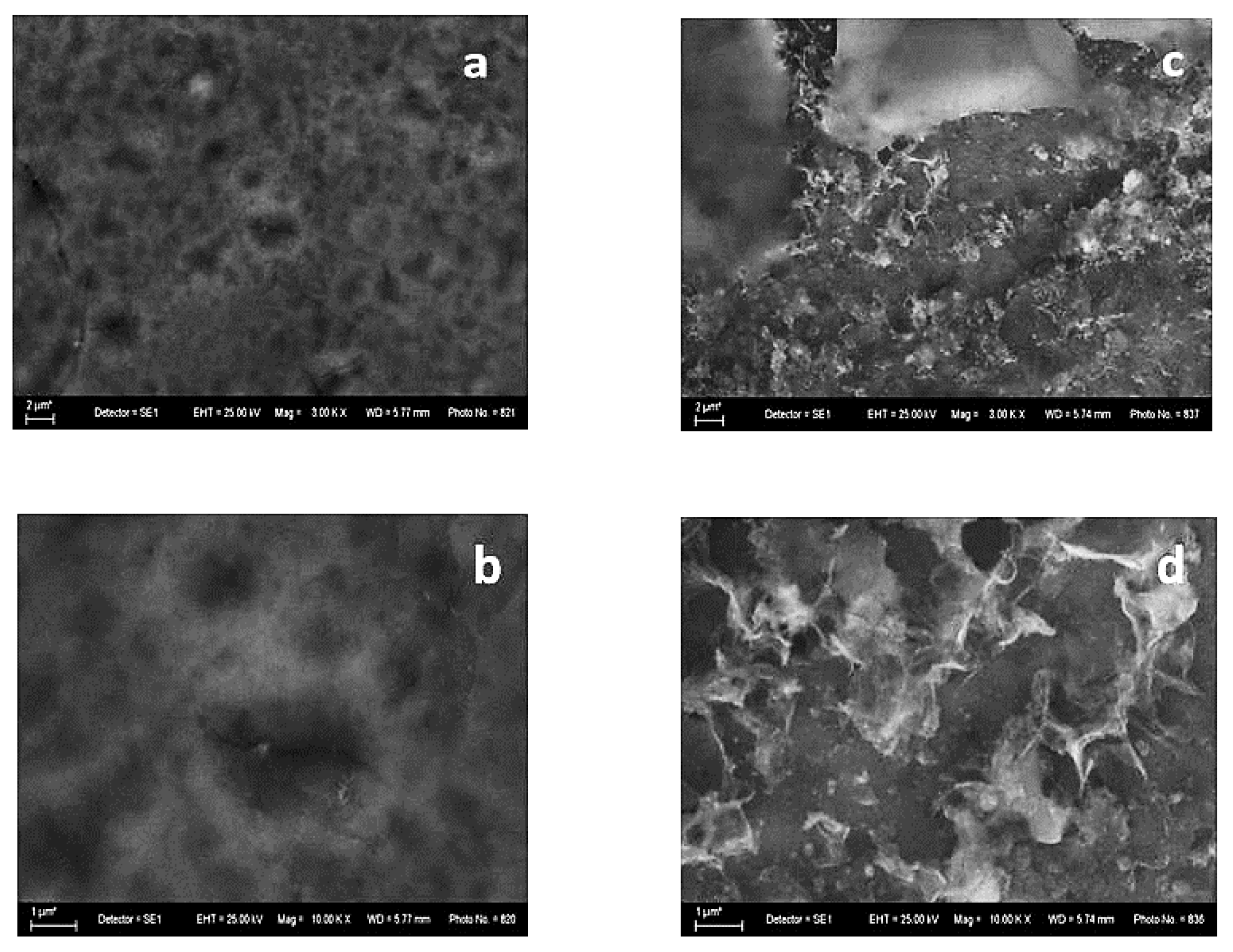 Coatings 13 00295 g004