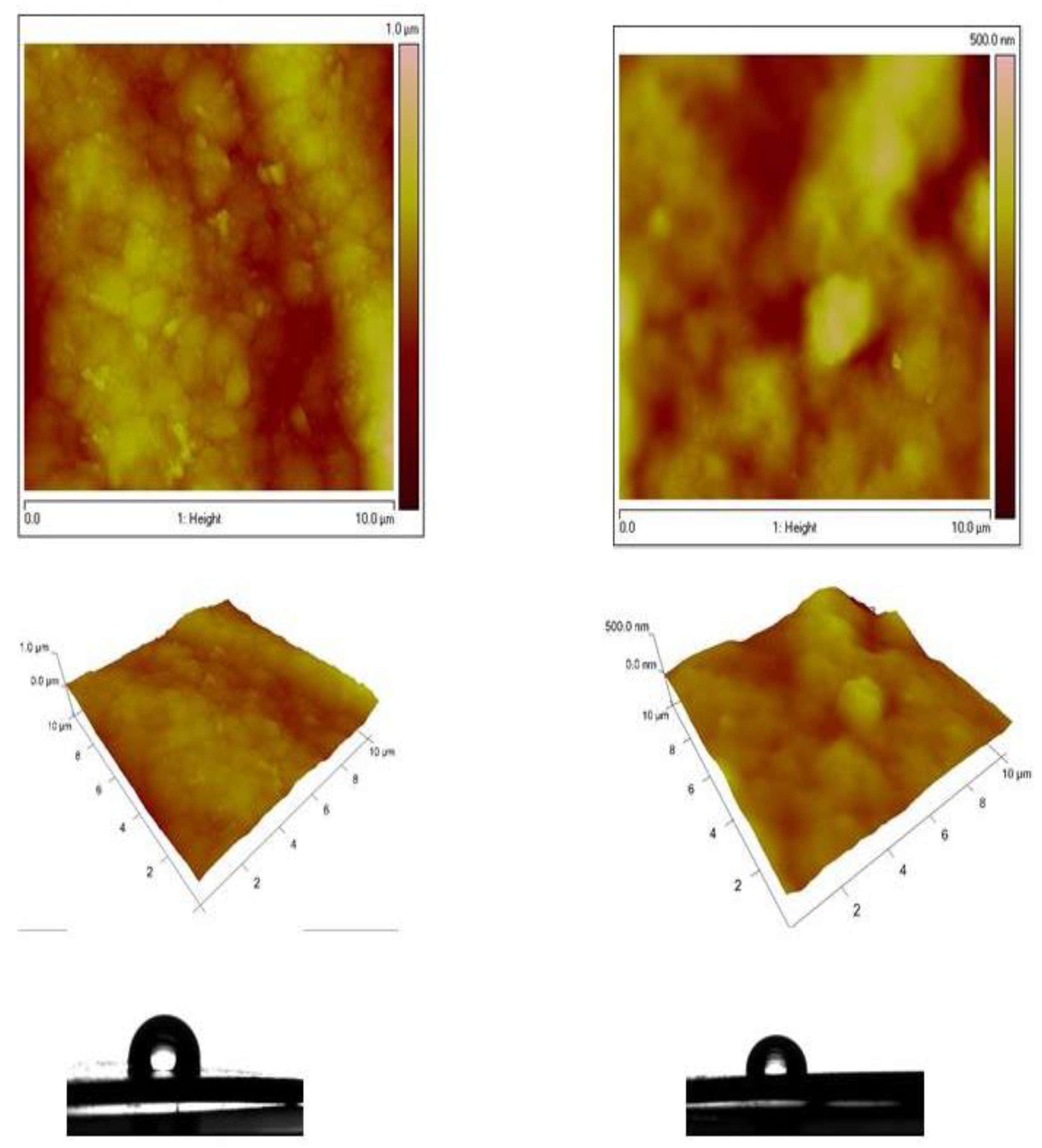 Coatings 13 00295 g008
