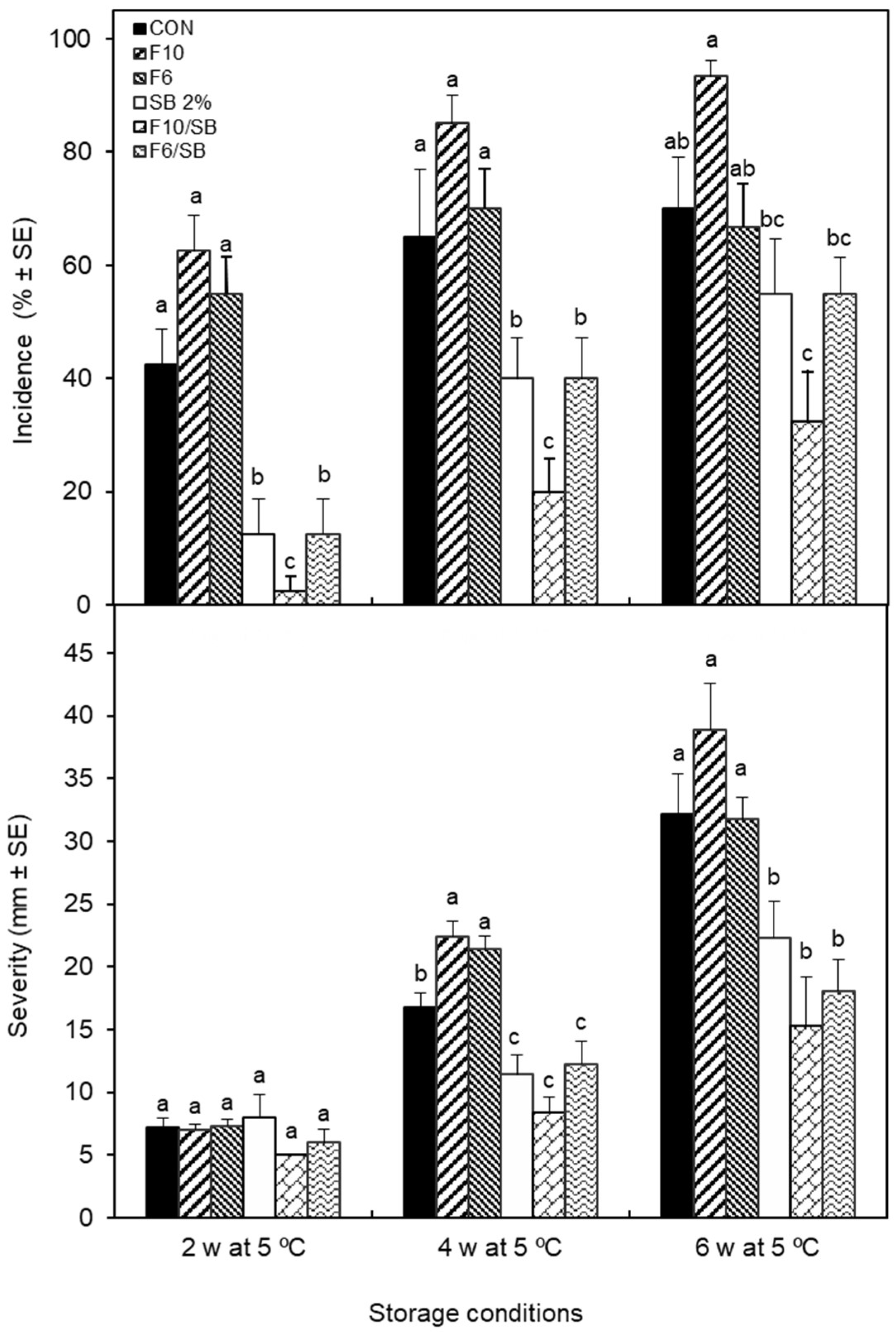 Coatings 13 00296 g001