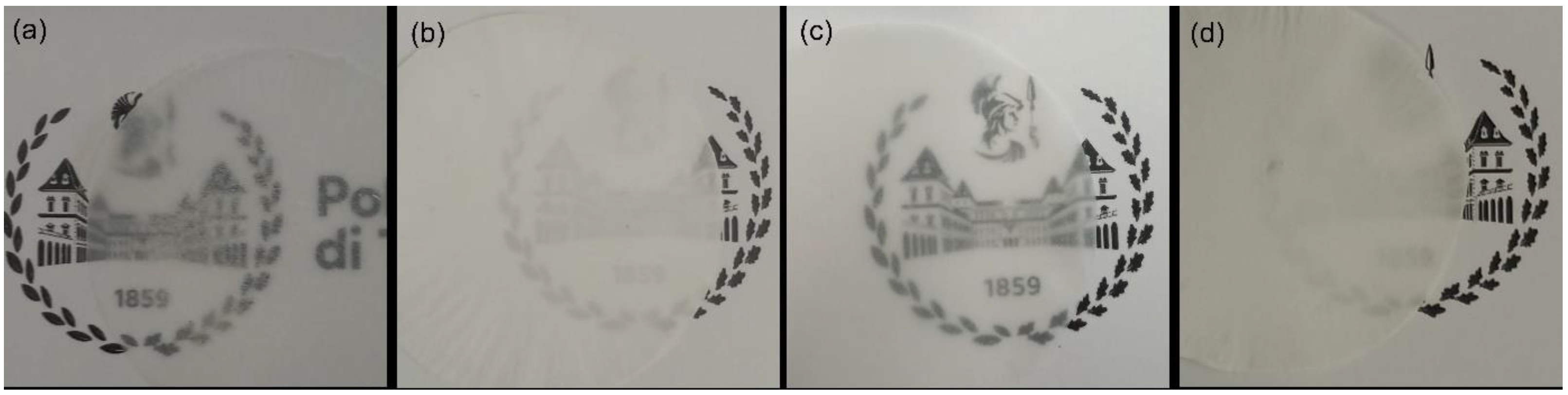 Coatings 13 00297 g002