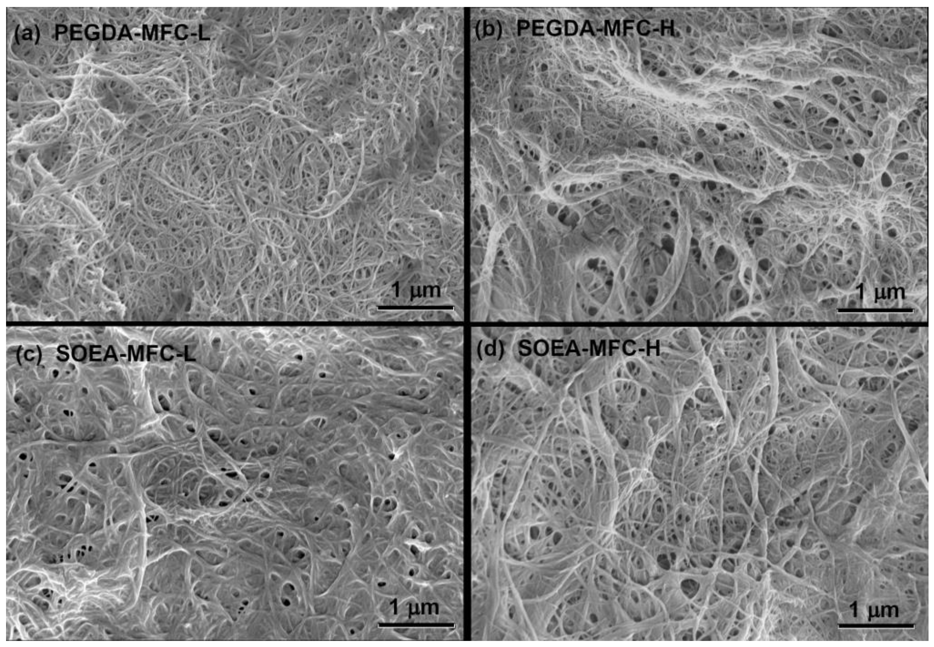 Coatings 13 00297 g003