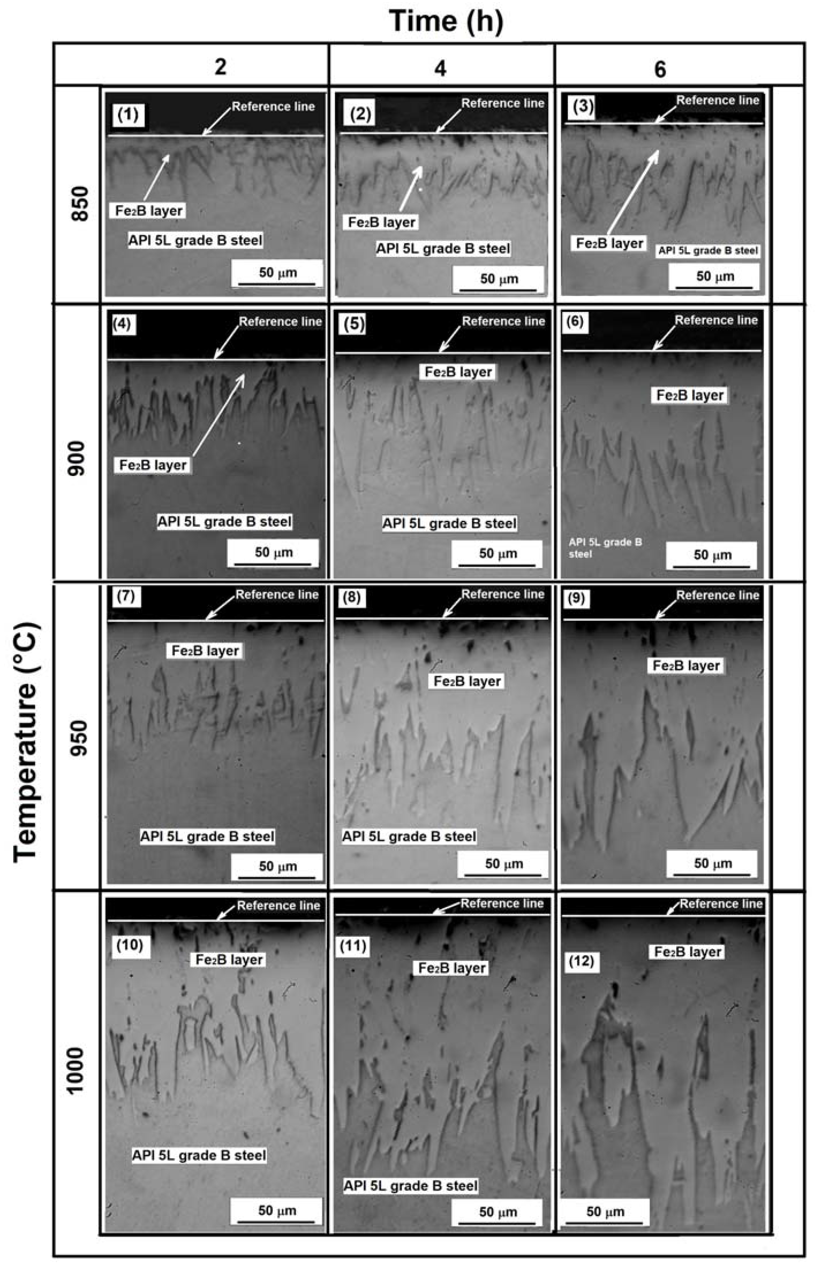 Coatings 13 00298 g003