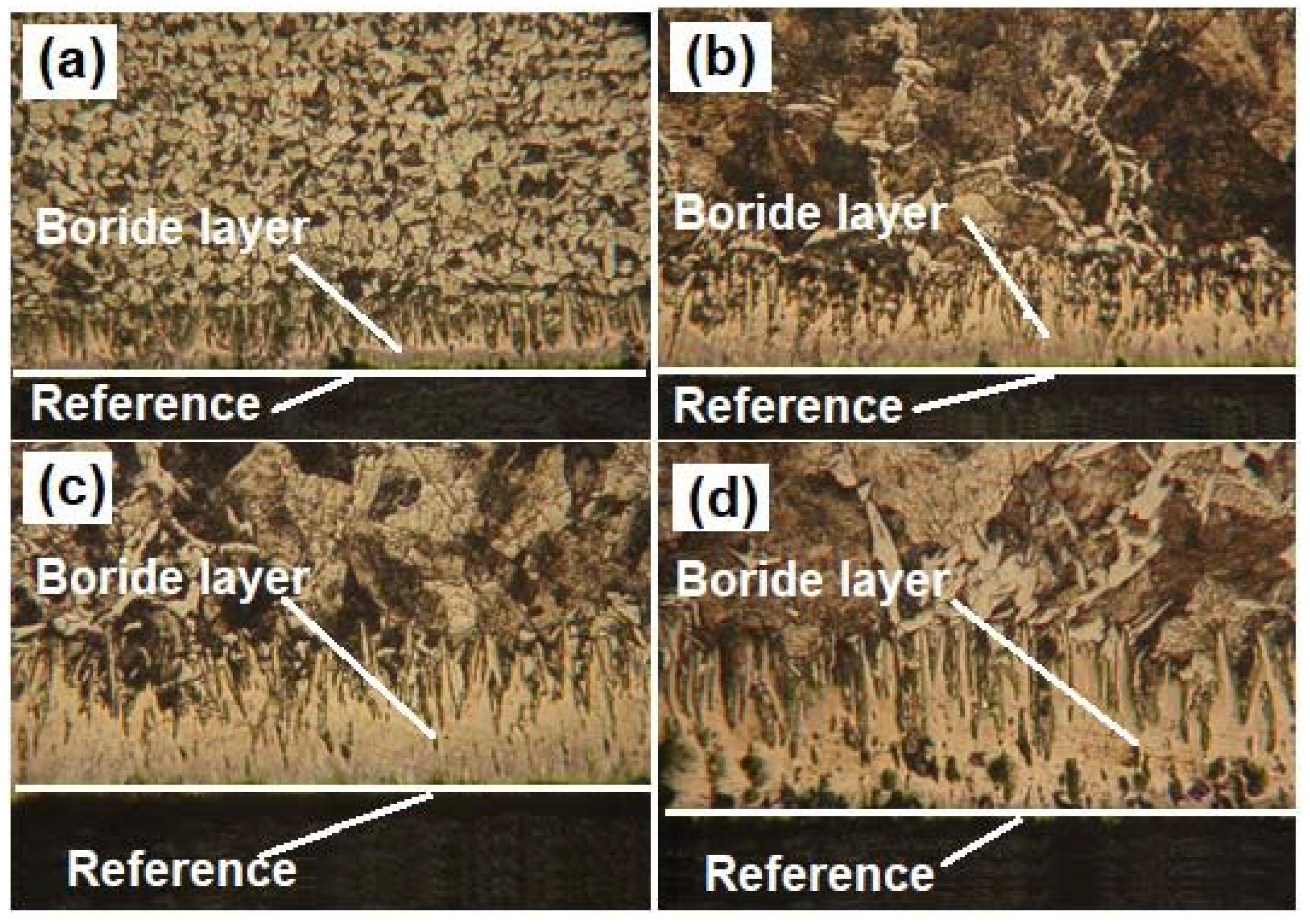 Coatings 13 00298 g015