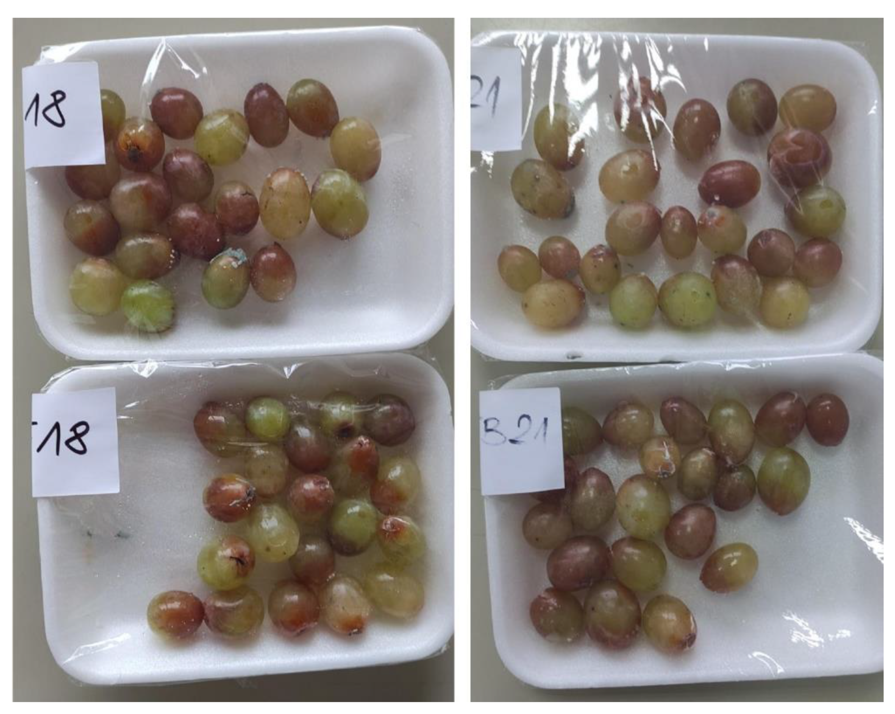 Coatings 13 00299 g002 Coatings 13 00299 g002