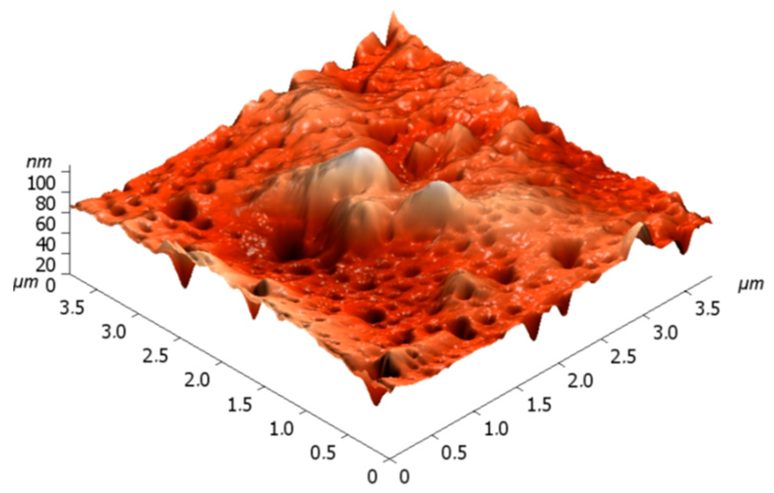 Coatings 13 00300 g005