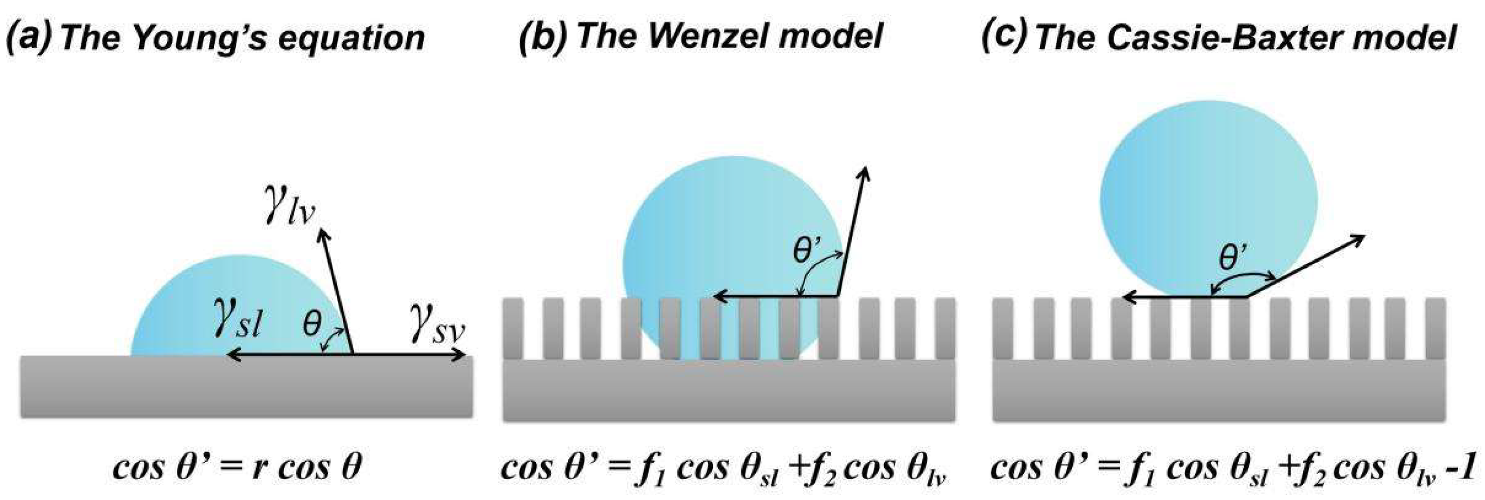 Coatings 13 00301 g002