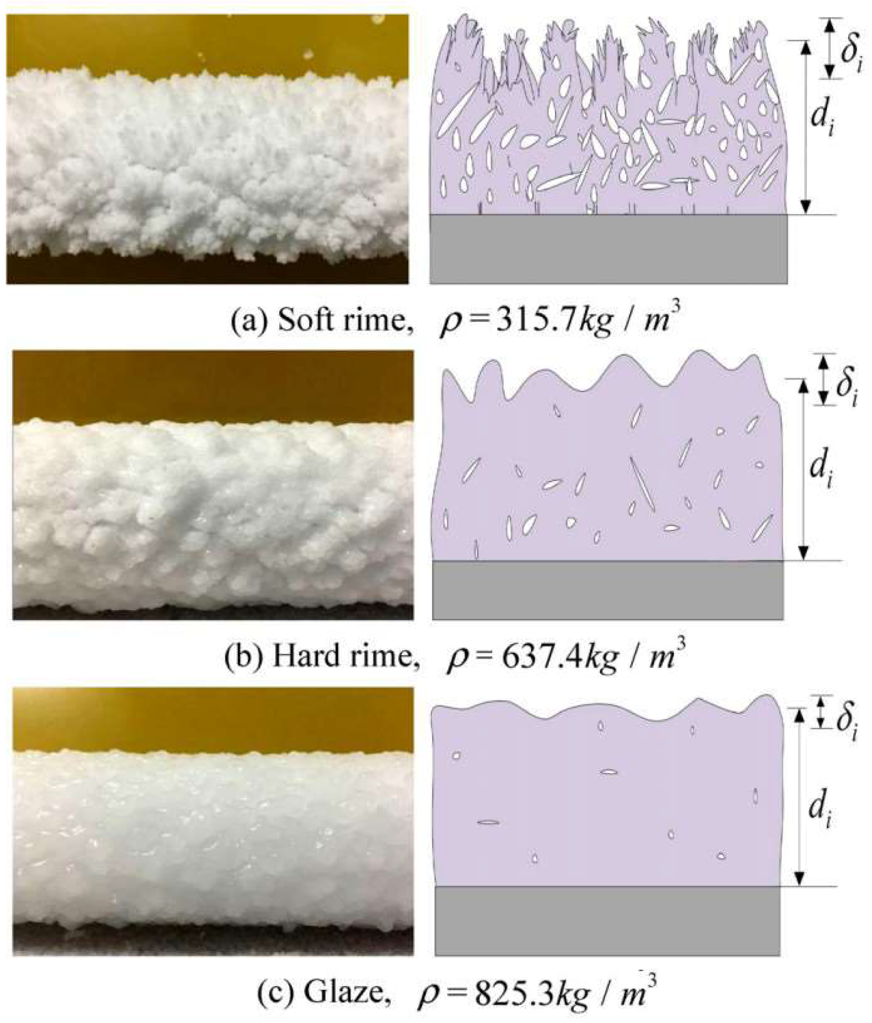 Coatings 13 00301 g003