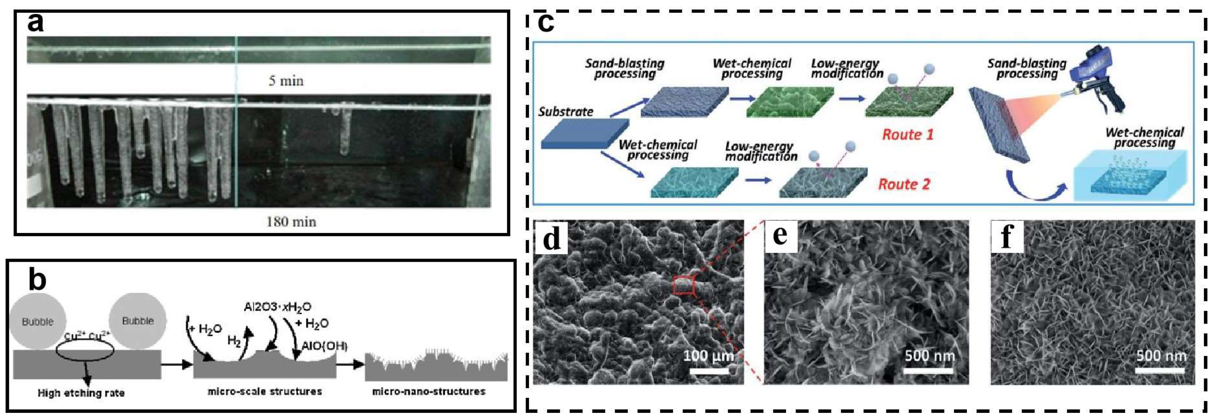 Coatings 13 00301 g011