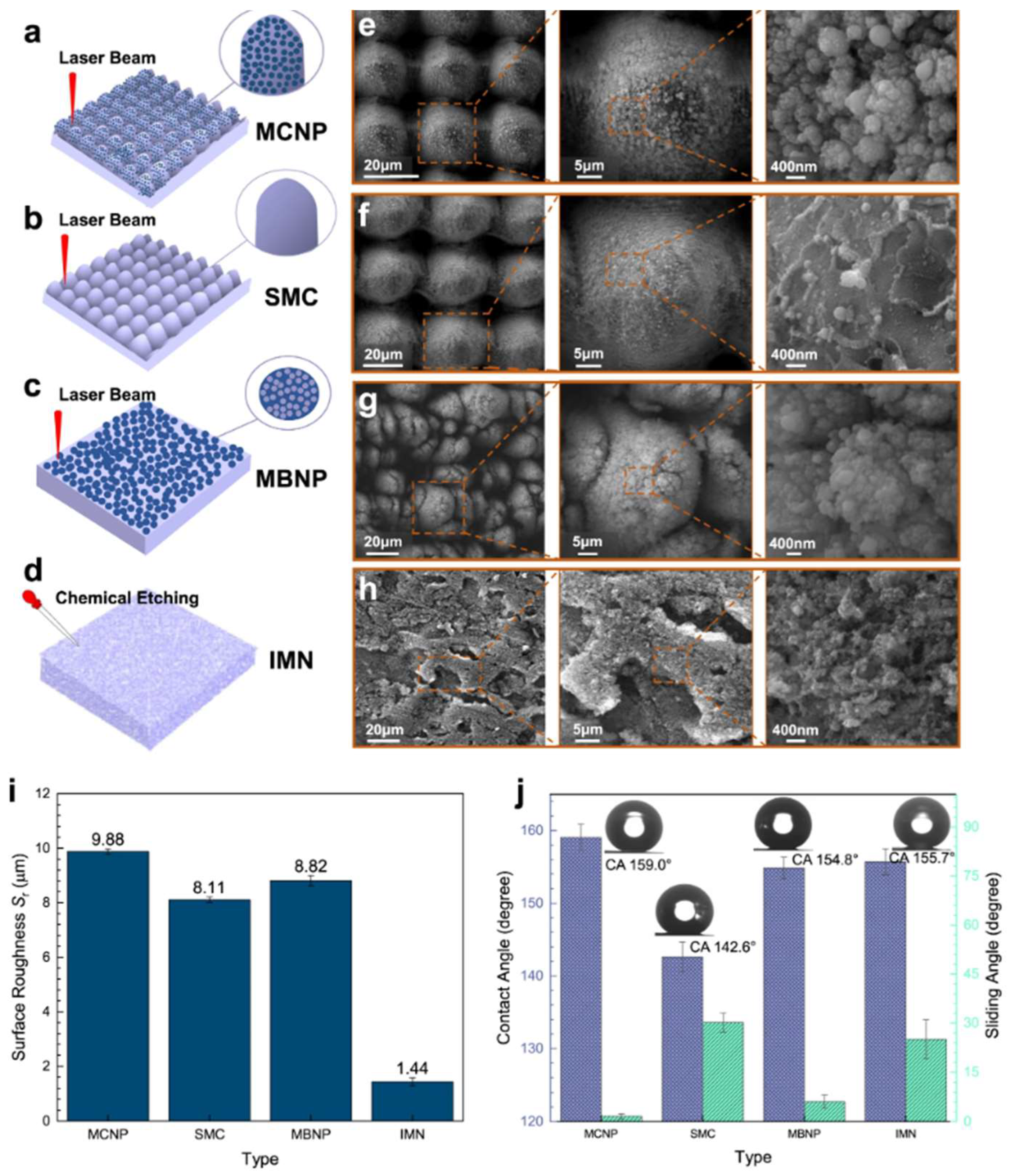 Coatings 13 00301 g013