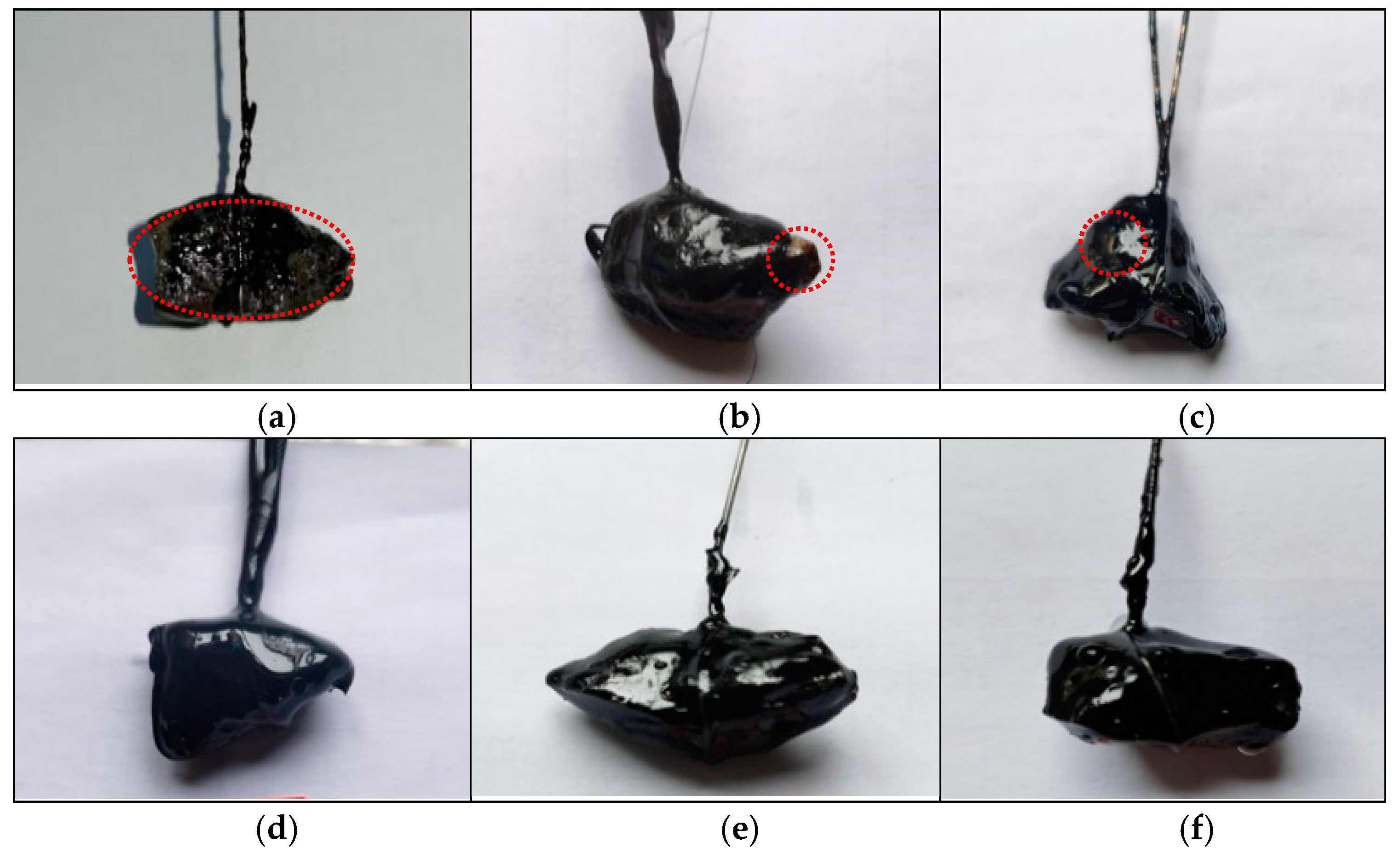 Coatings 13 00302 g007