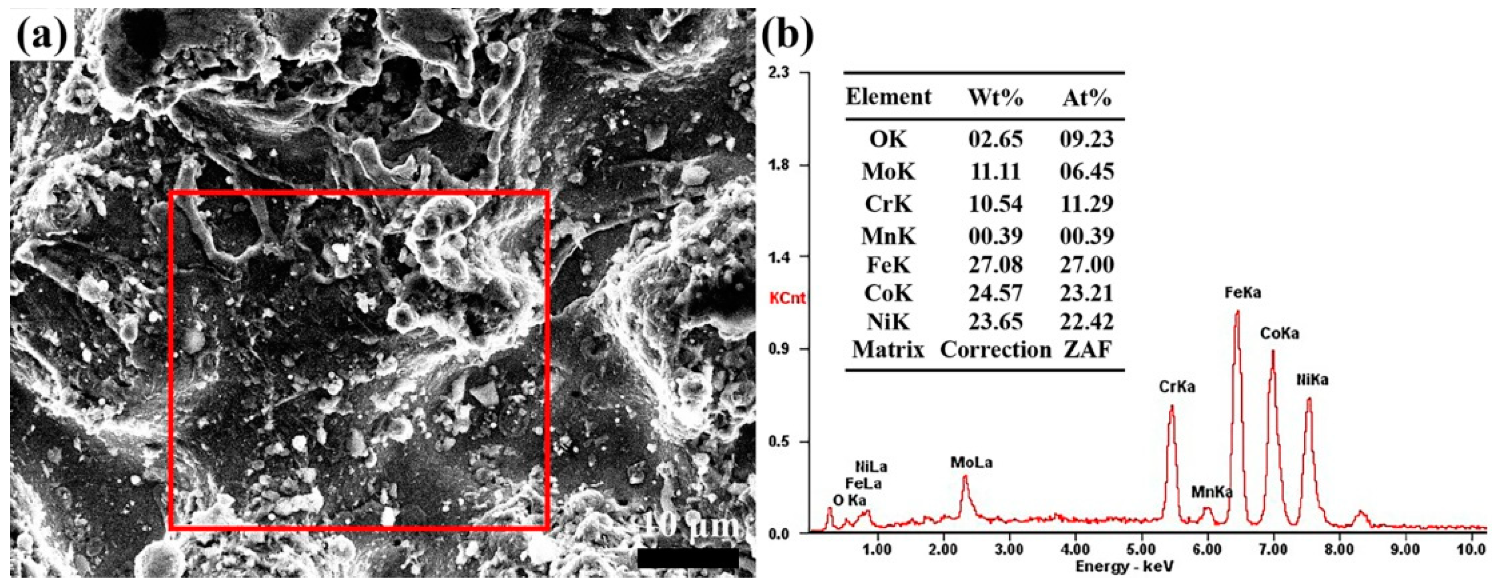 Coatings 13 00303 g004
