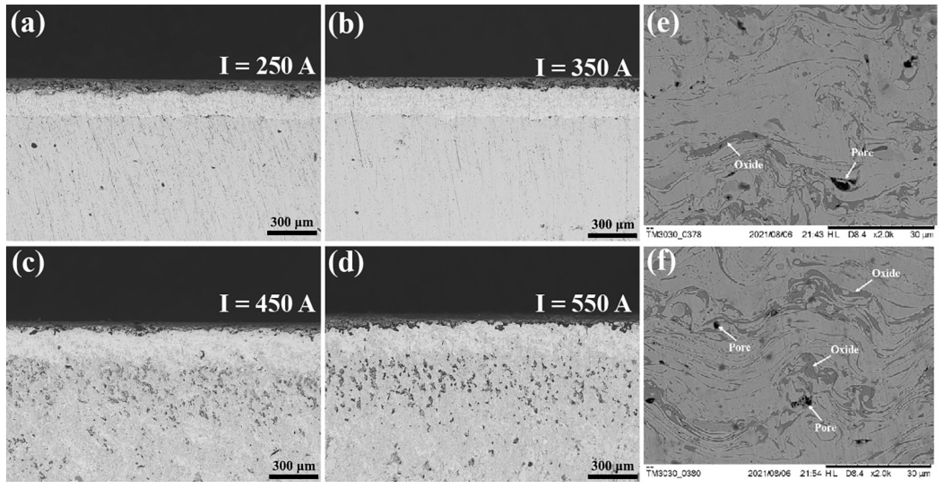 Coatings 13 00303 g005