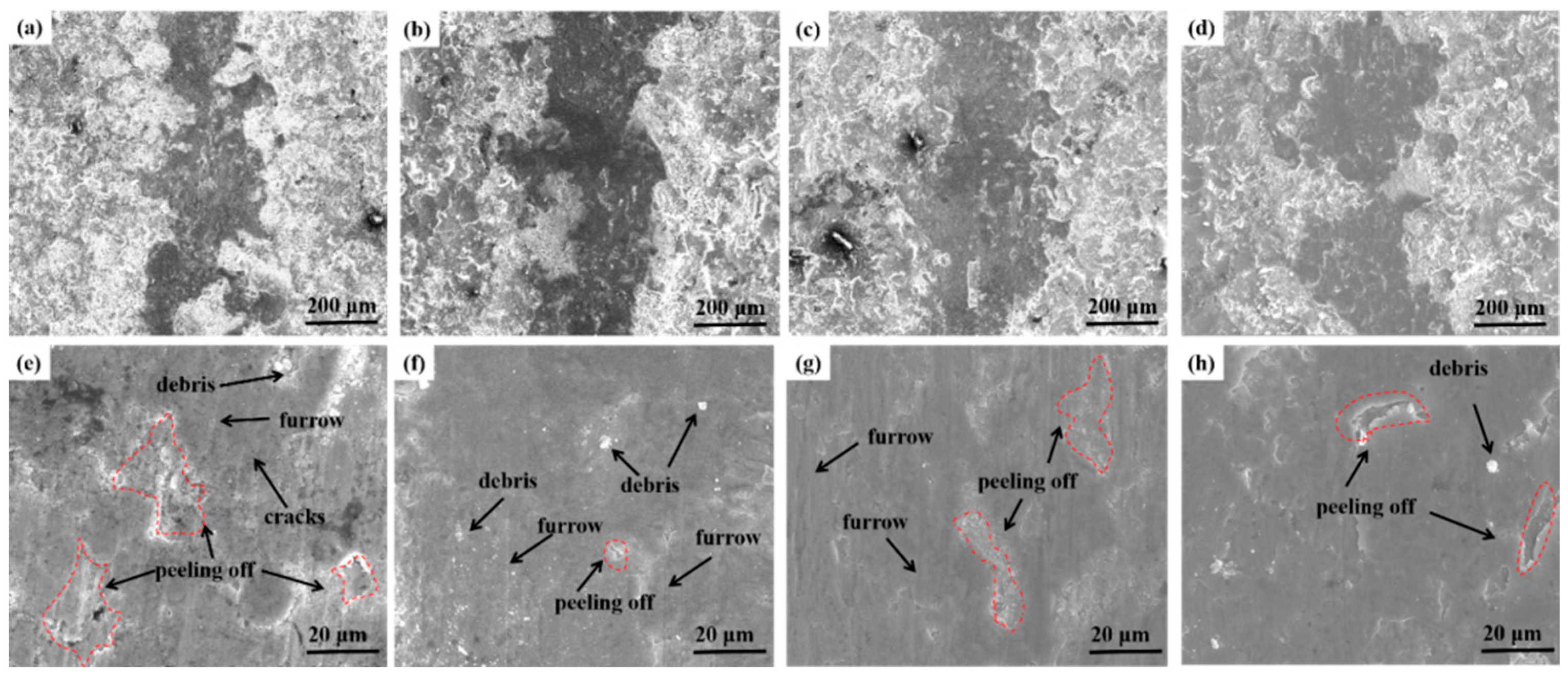 Coatings 13 00303 g011