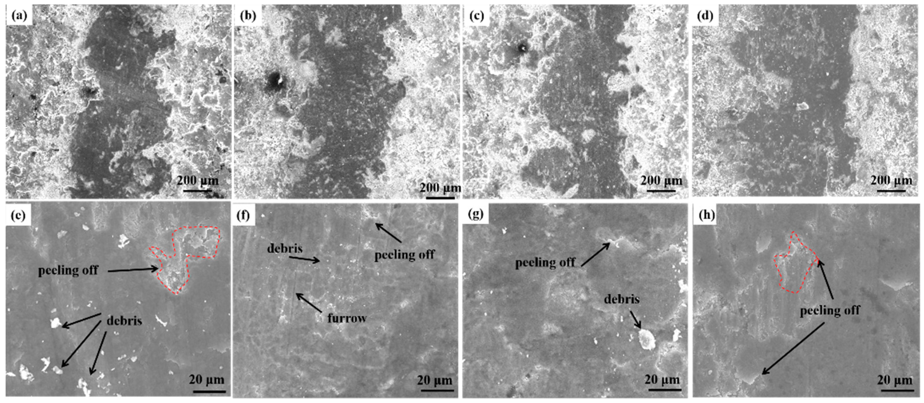 Coatings 13 00303 g012