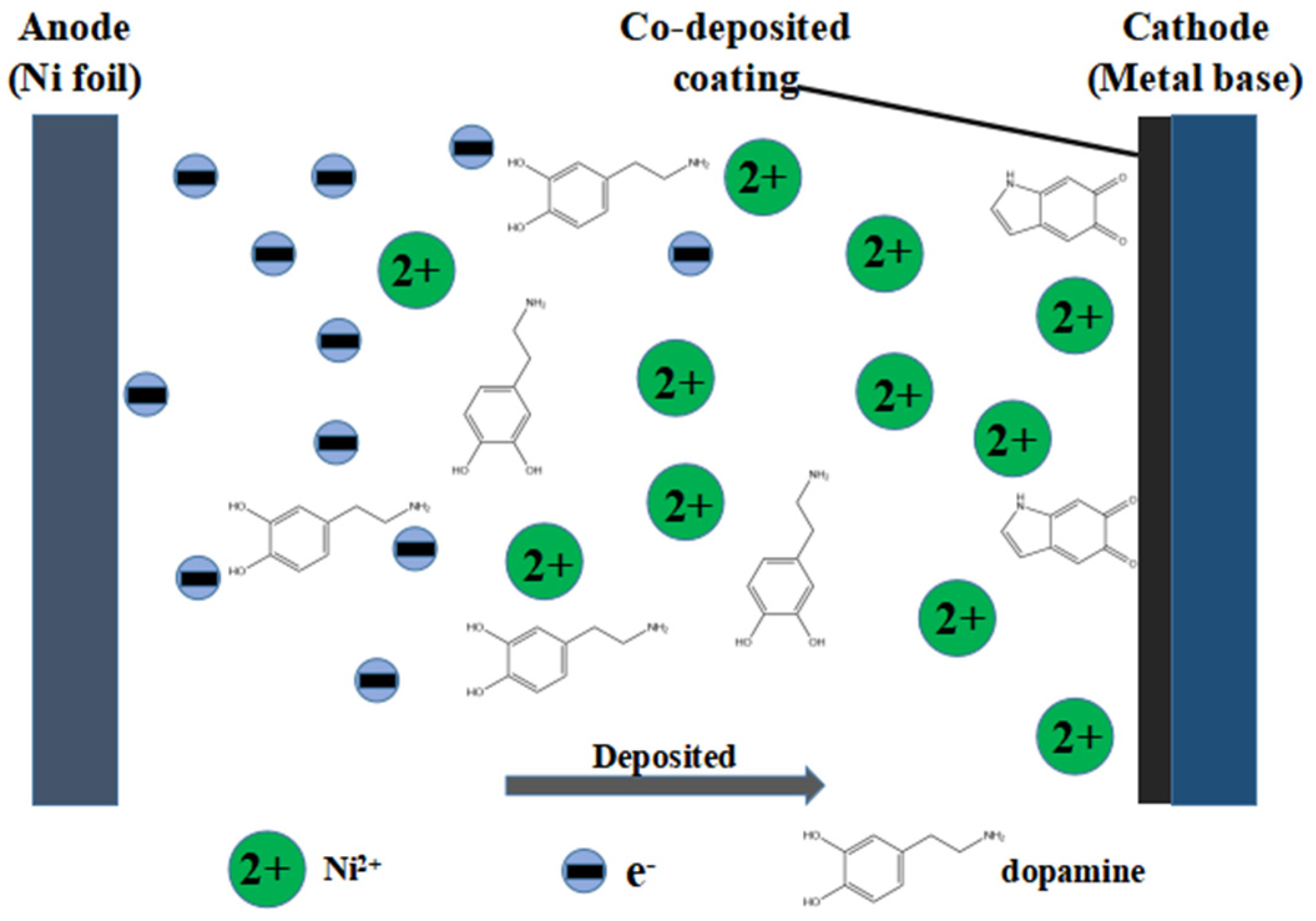 Coatings 13 00306 g001