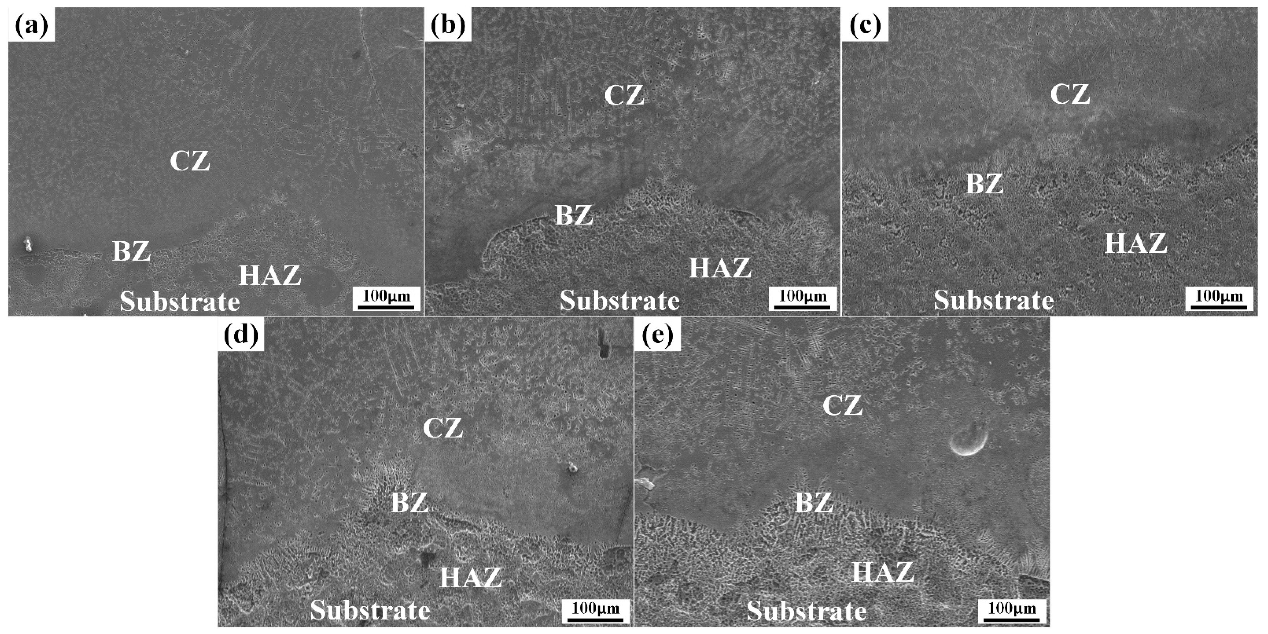 Coatings 13 00308 g003