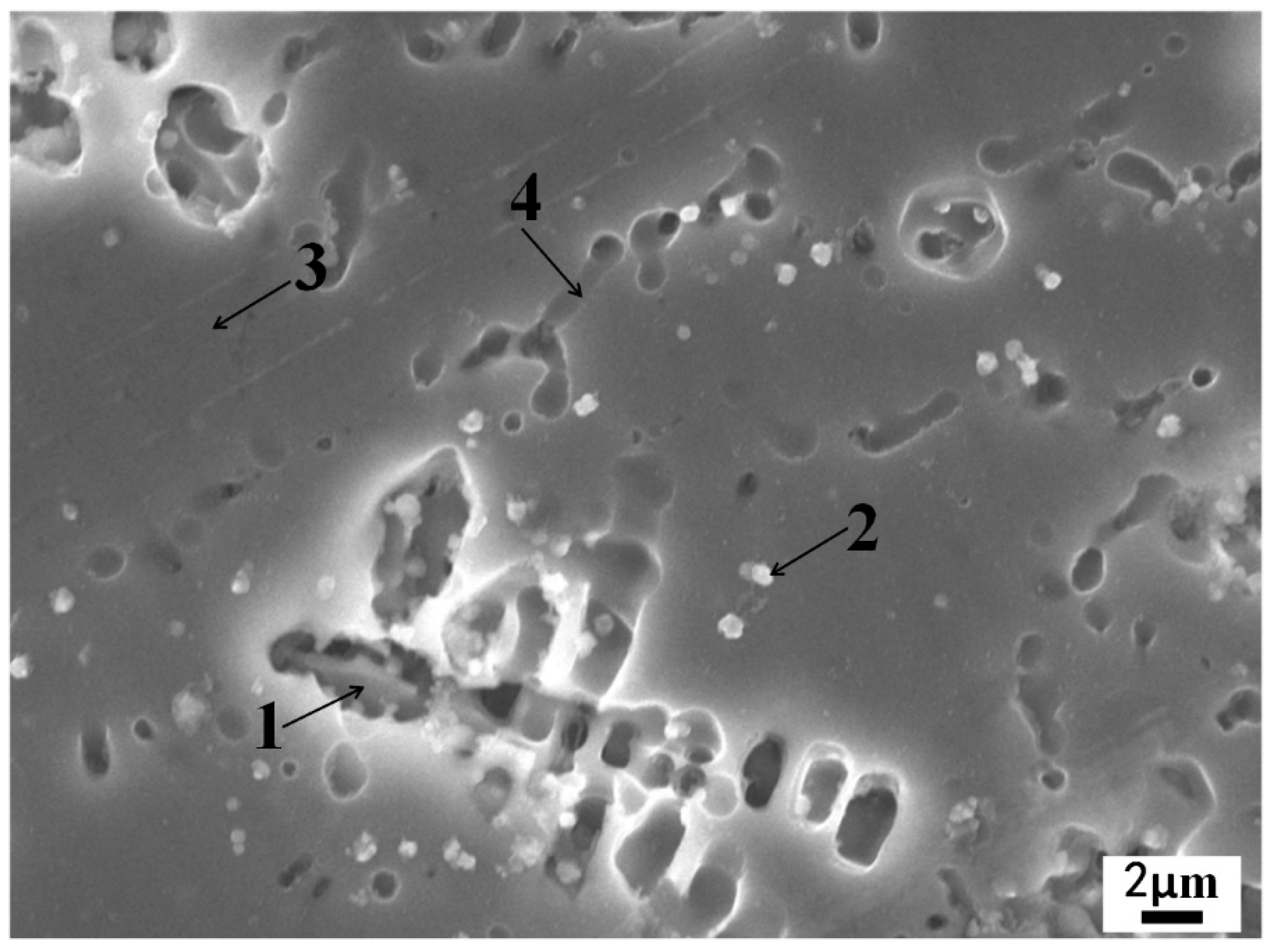 Coatings 13 00308 g005