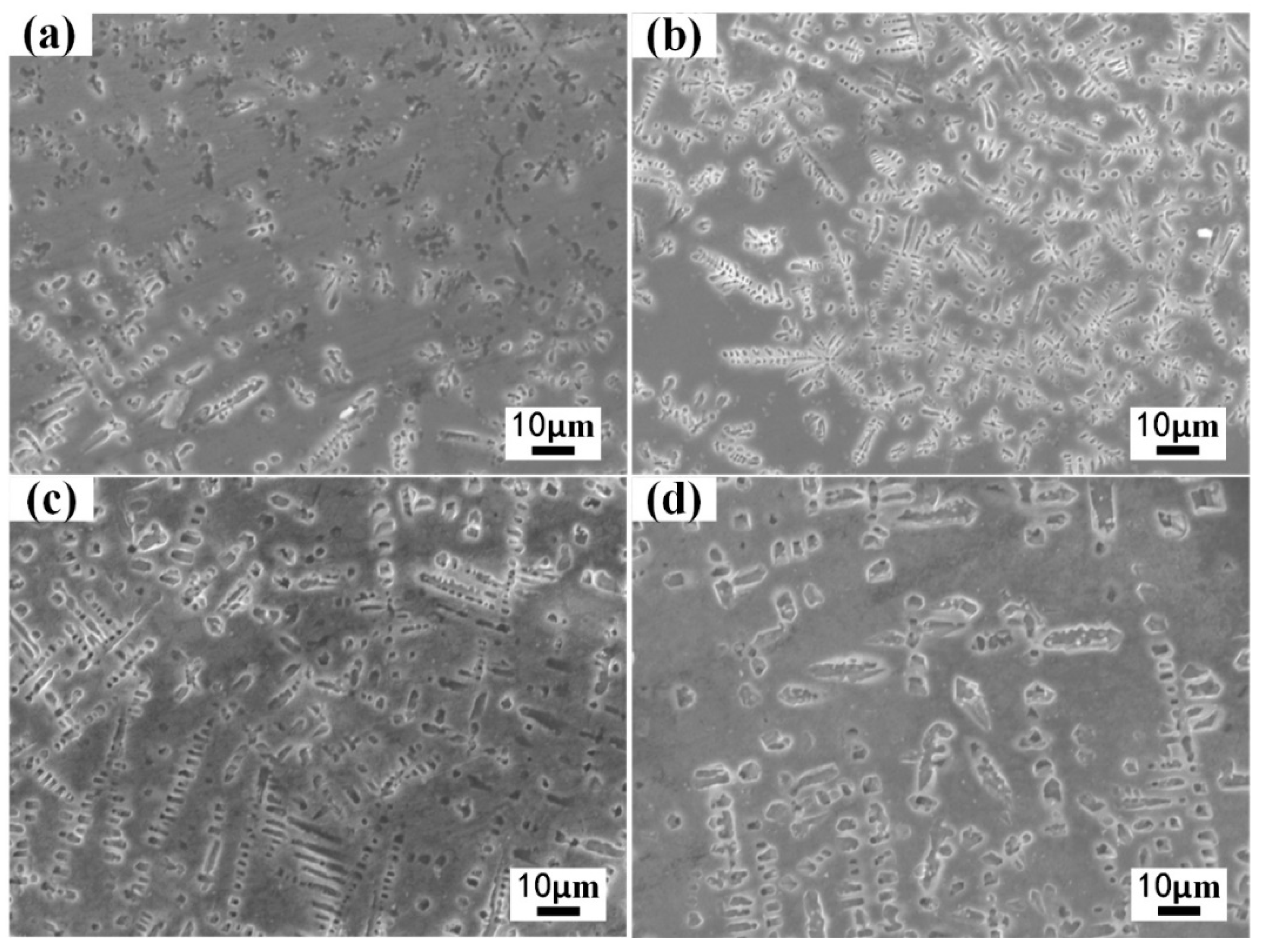 Coatings 13 00308 g006