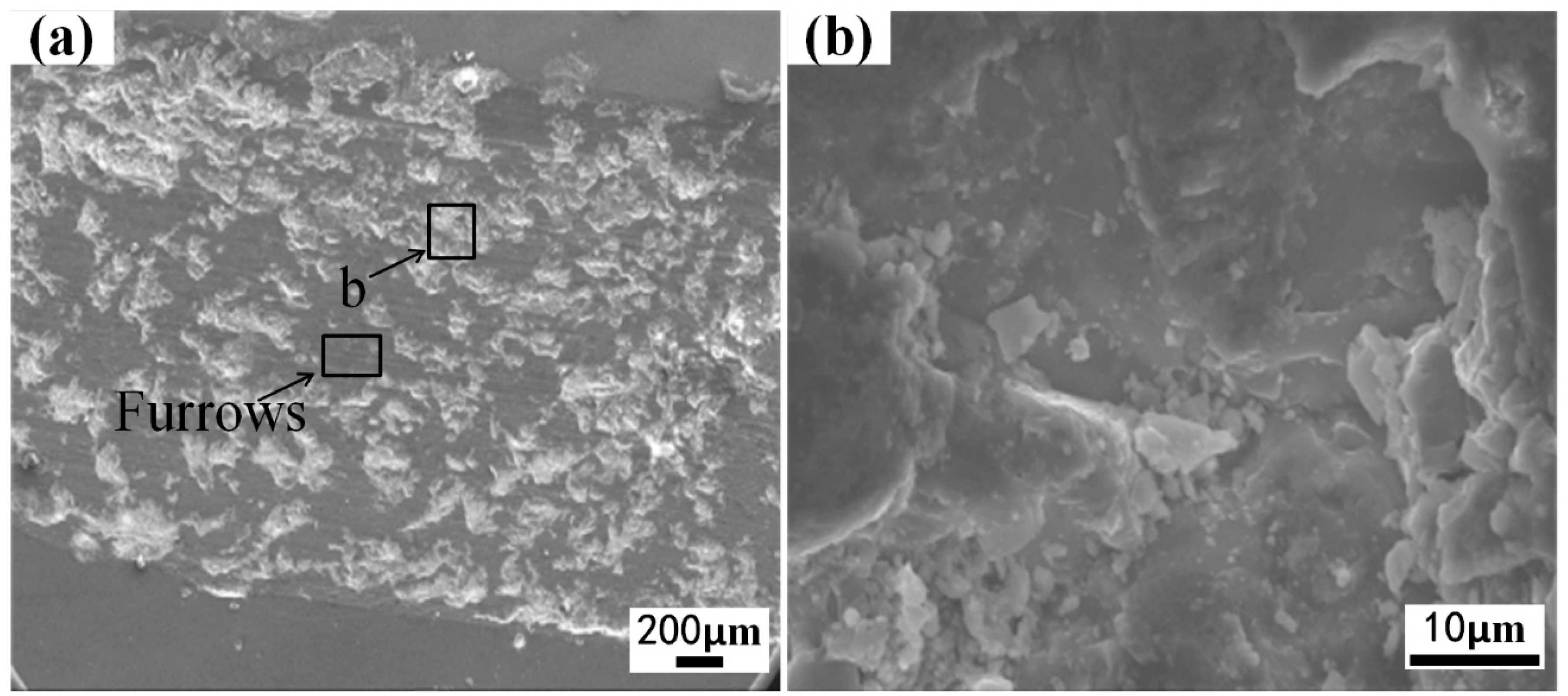 Coatings 13 00308 g010