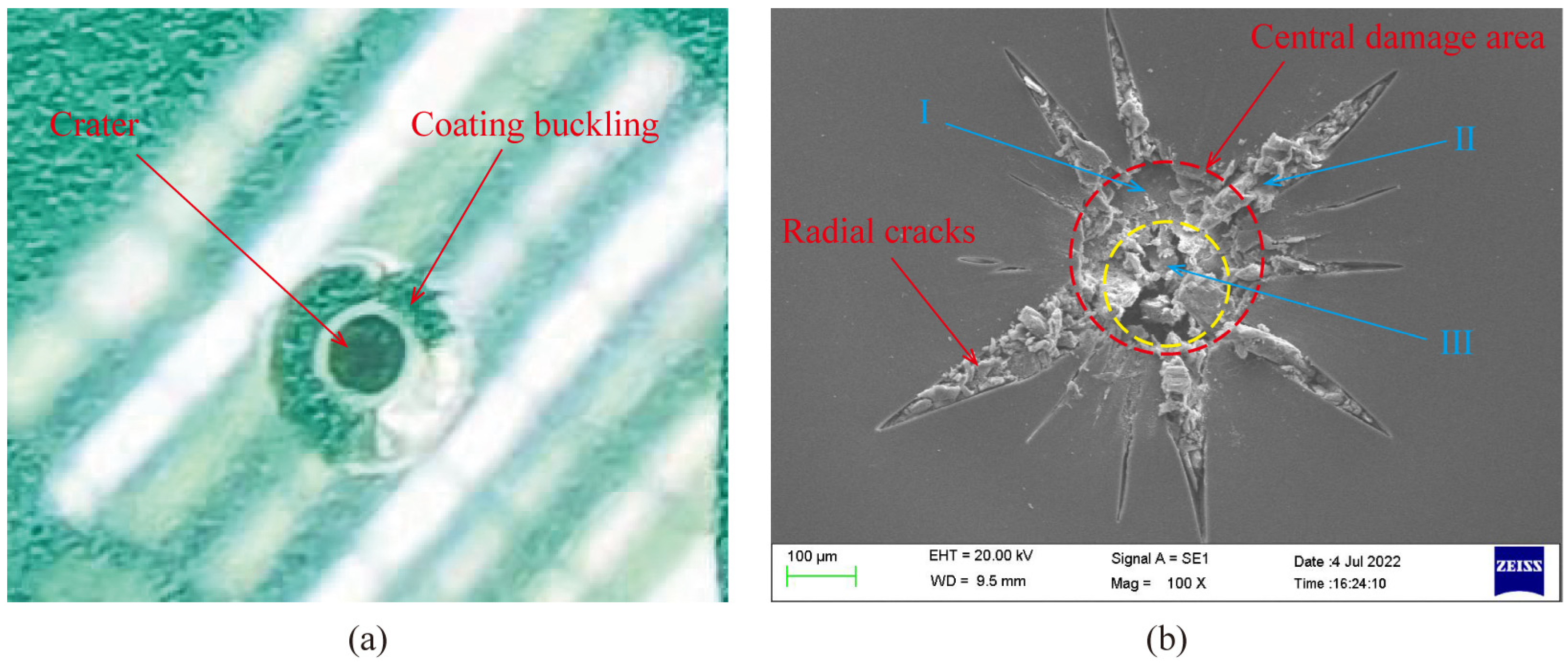 Coatings 13 00309 g004