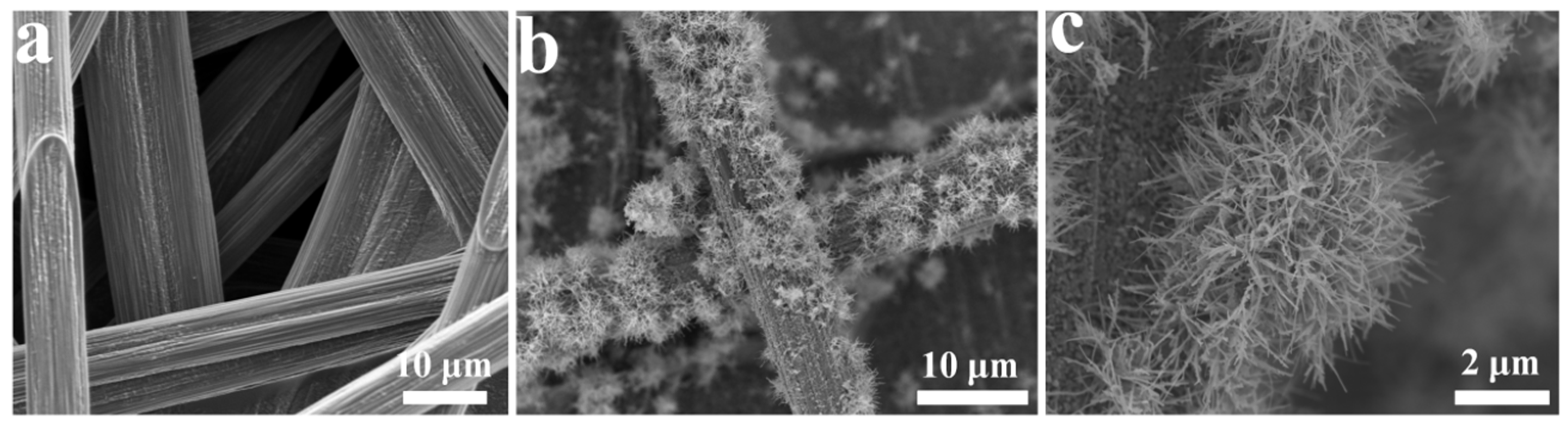 Coatings 13 00313 g002 Coatings 13 00313 g002