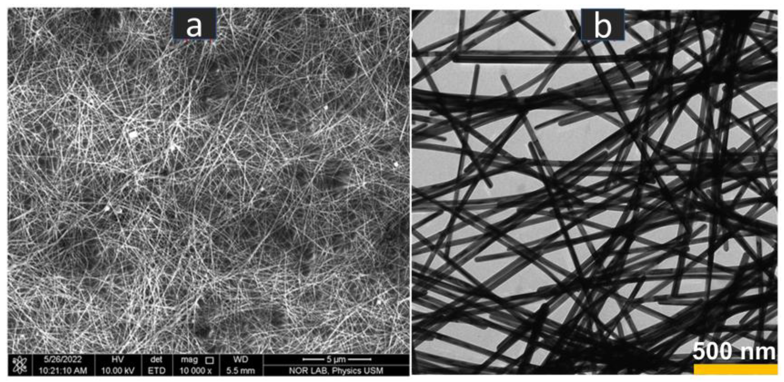 Coatings 13 00315 g003 Coatings 13 00315 g003