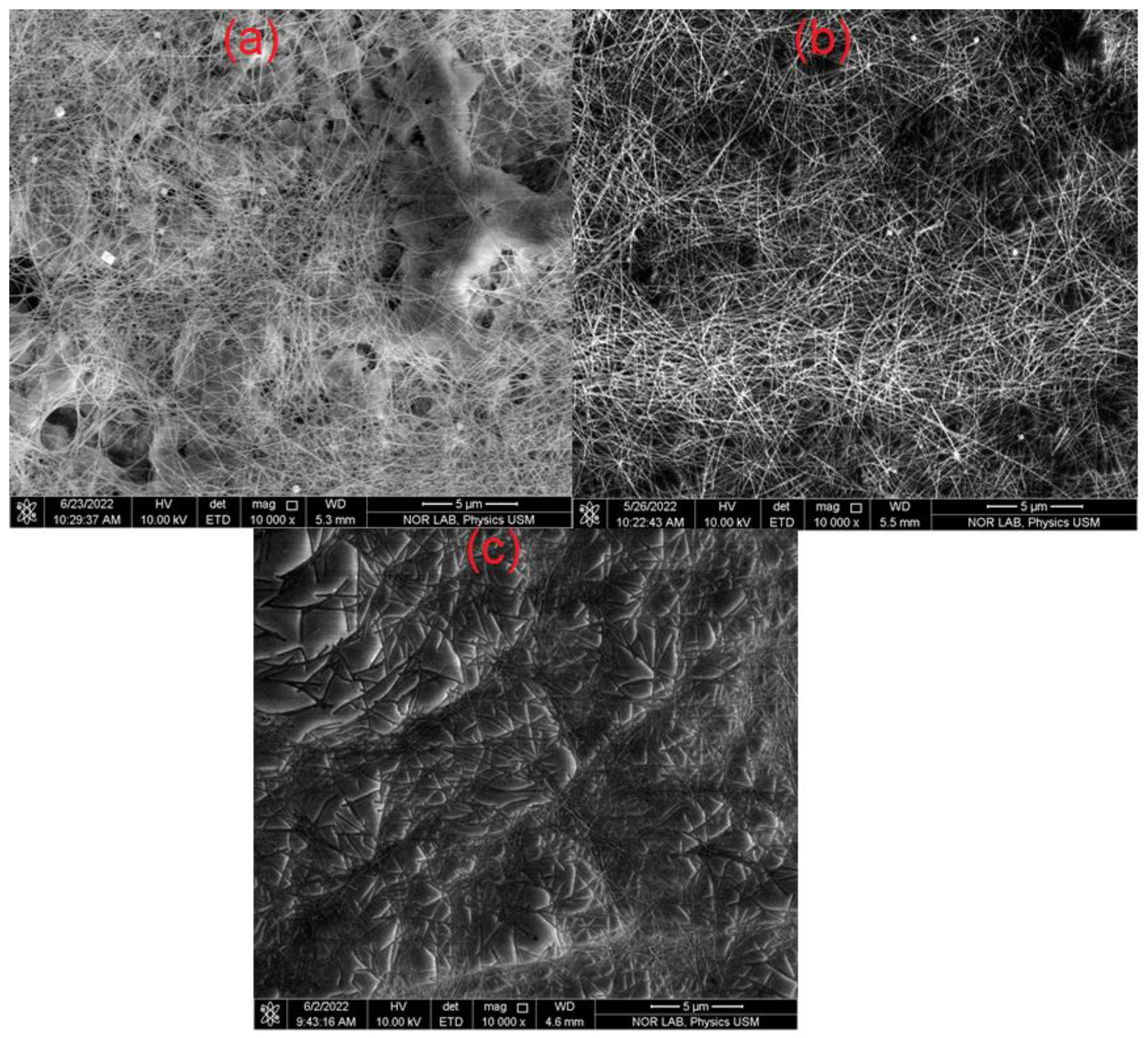 Coatings 13 00315 g006 Coatings 13 00315 g006