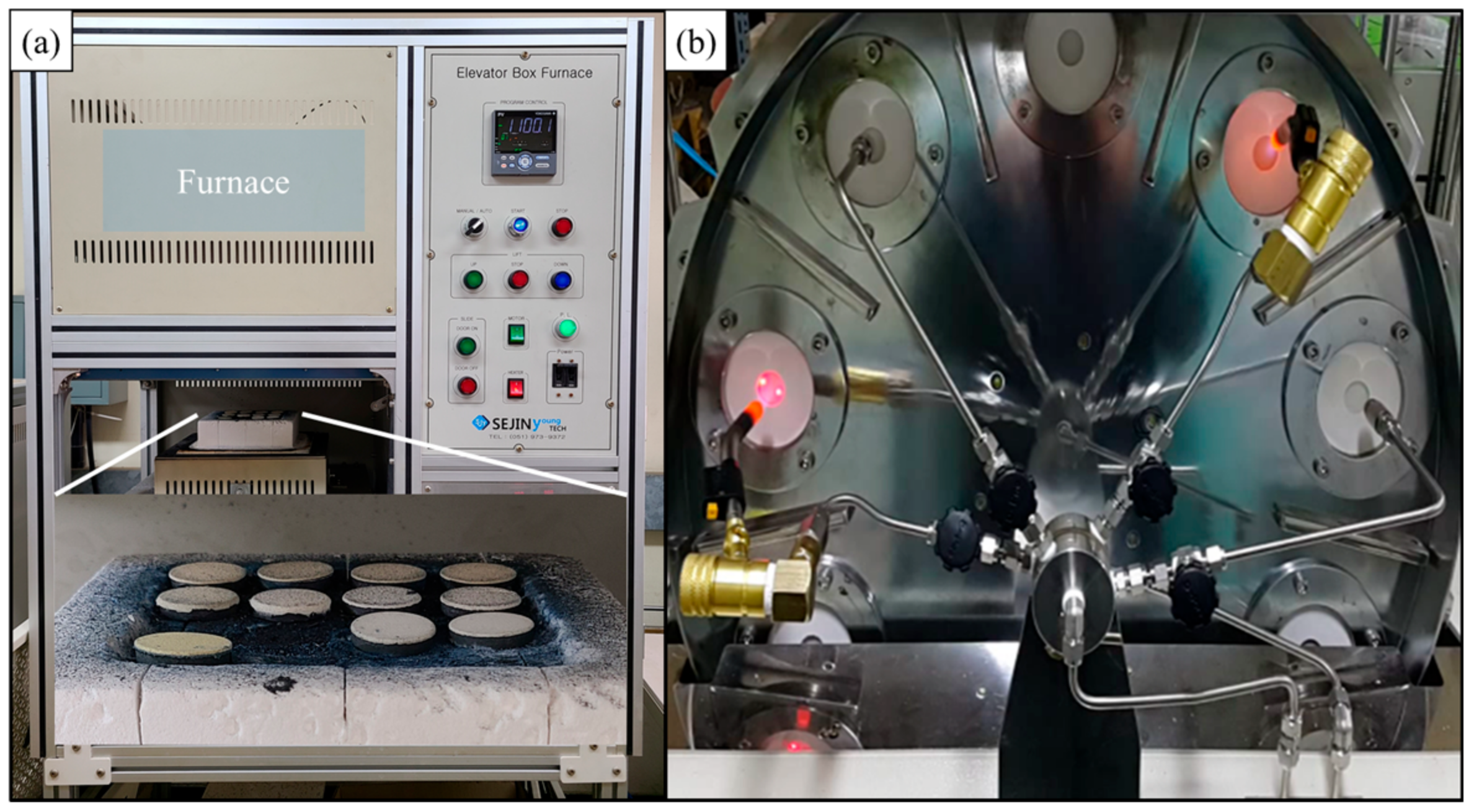 Coatings 13 00319 g001 Coatings 13 00319 g001