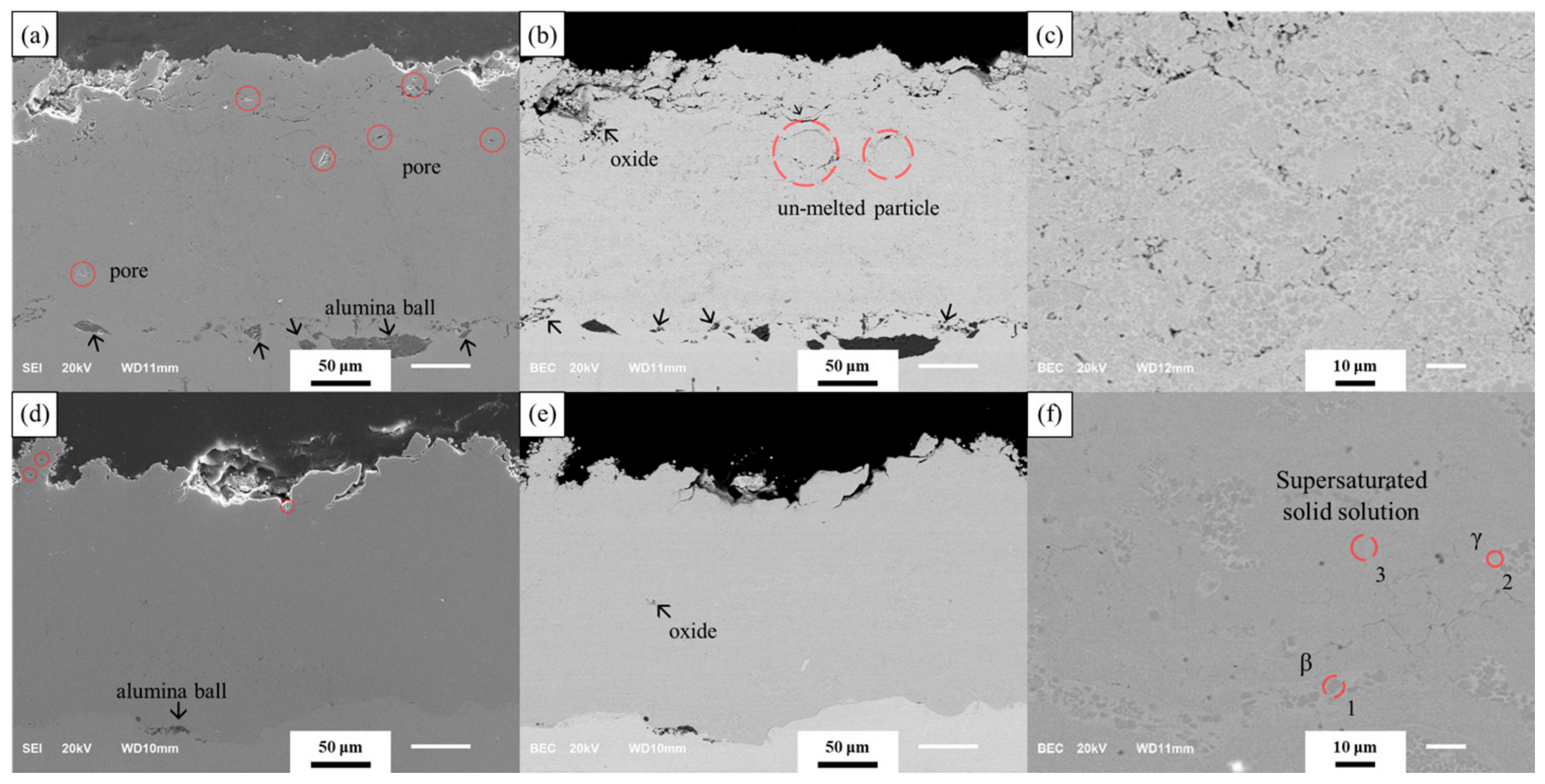 Coatings 13 00319 g003 Coatings 13 00319 g003