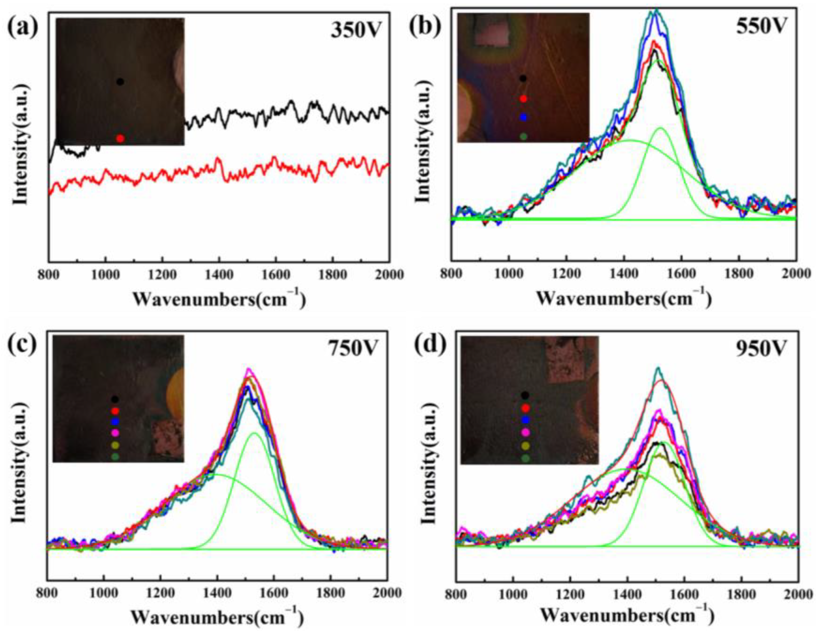 Coatings 13 00320 g003