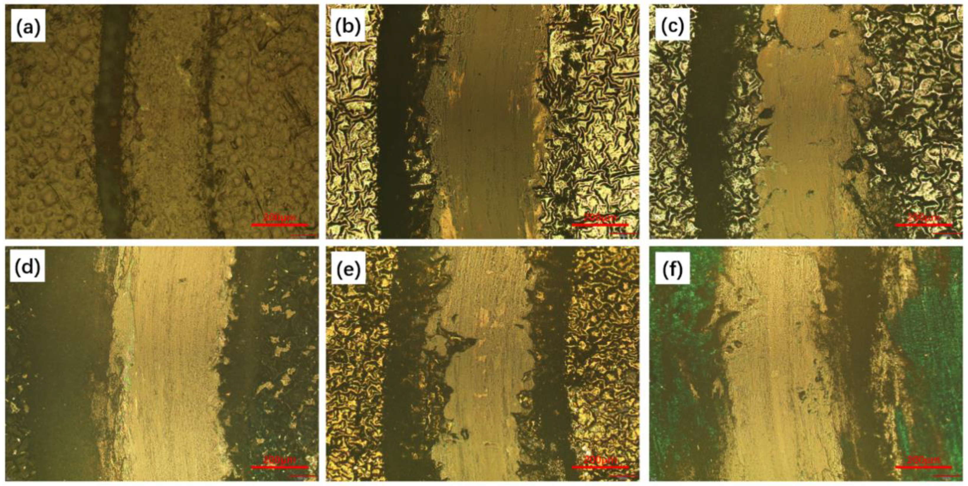 Coatings 13 00320 g009