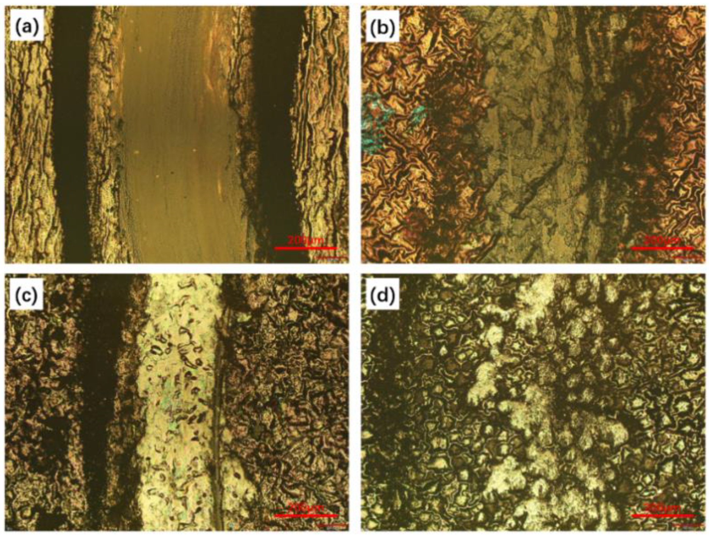 Coatings 13 00320 g011
