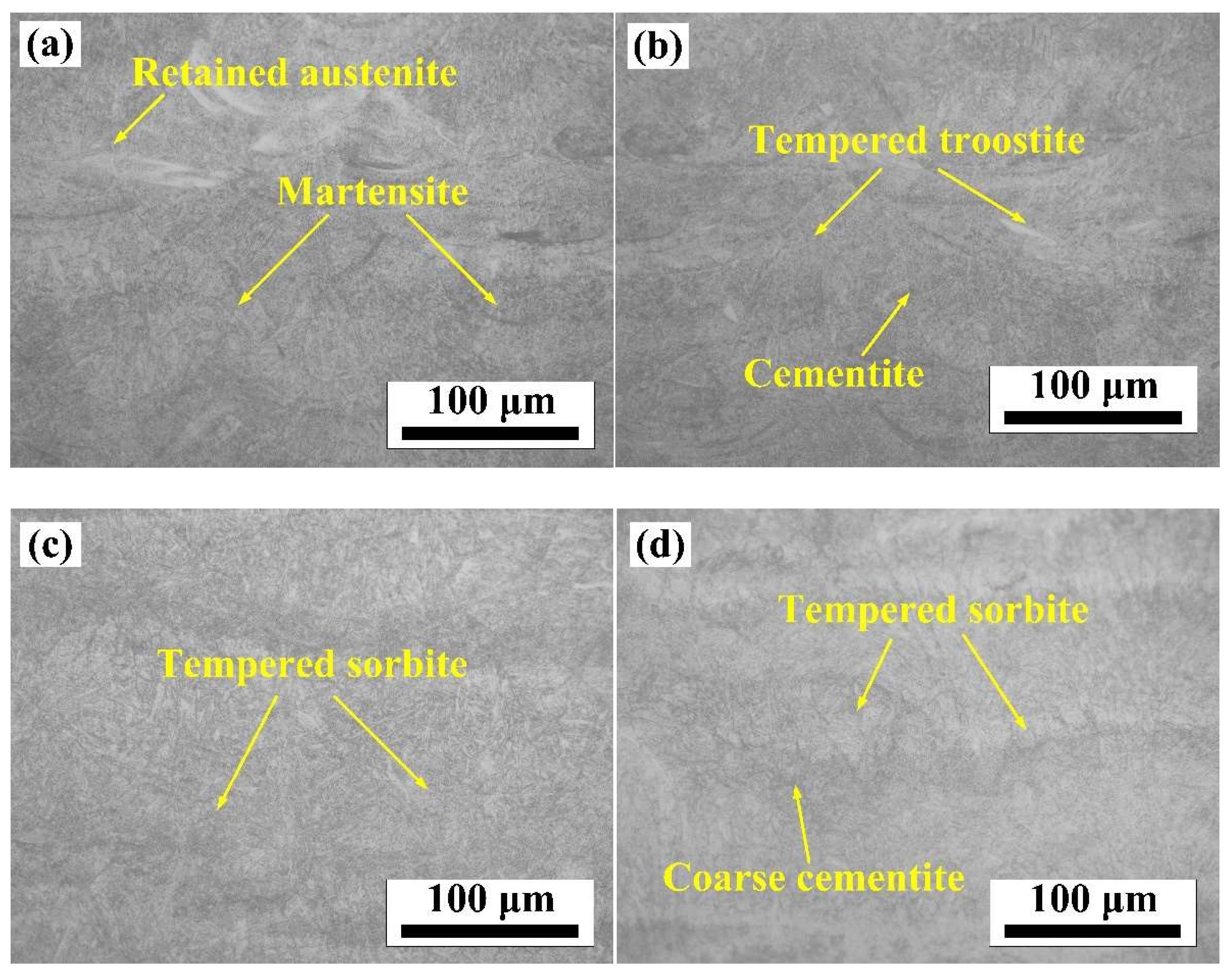 Coatings 13 00321 g008