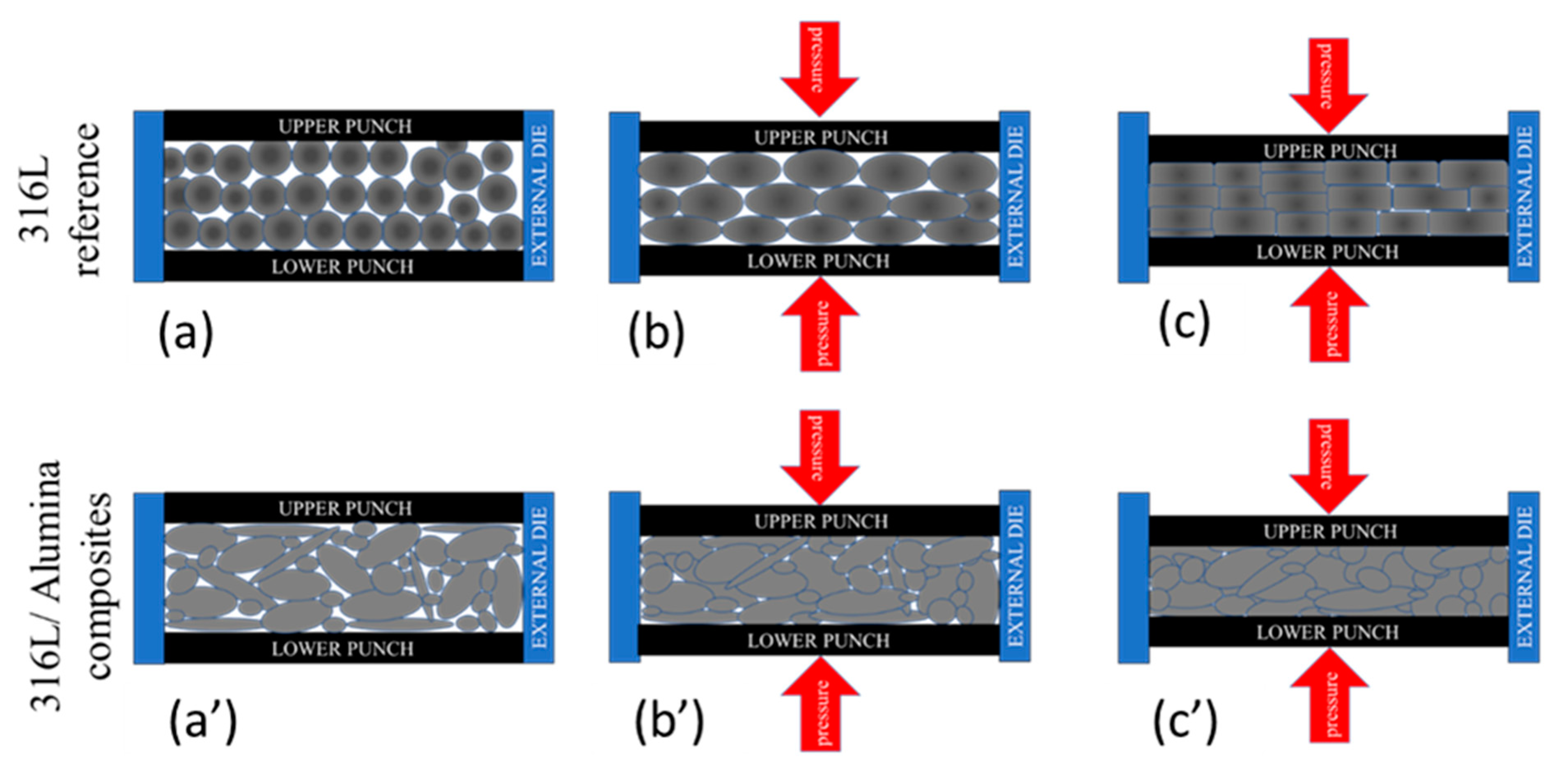 Coatings 13 00322 g008