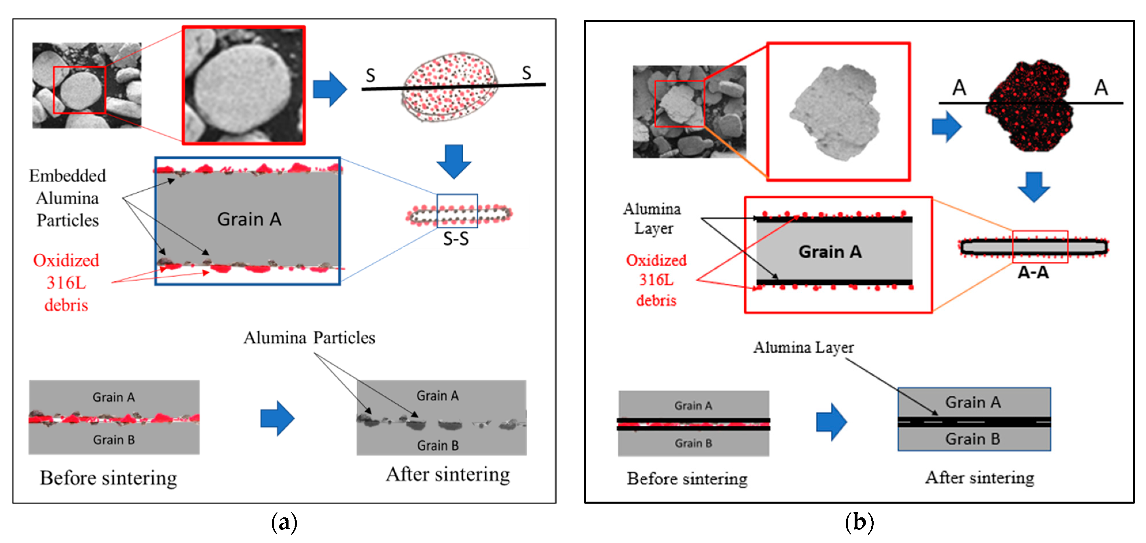 Coatings 13 00322 g010