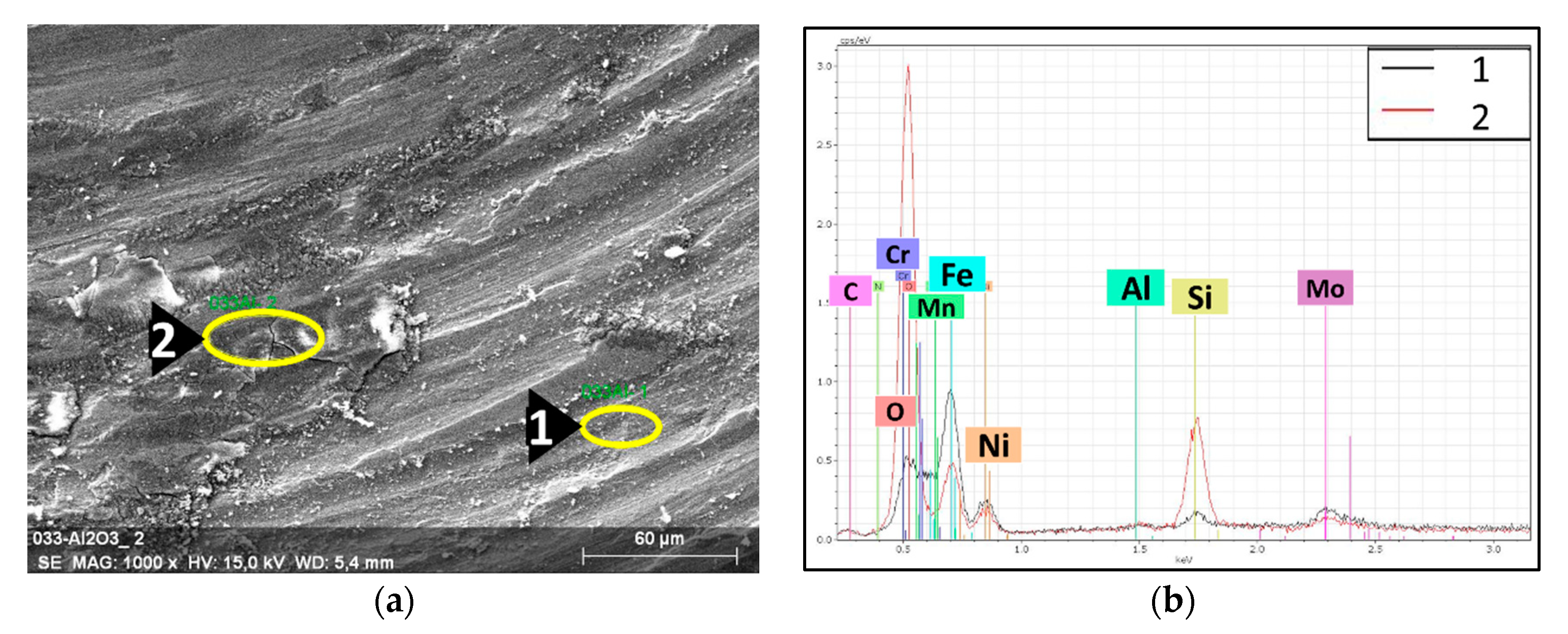 Coatings 13 00322 g012