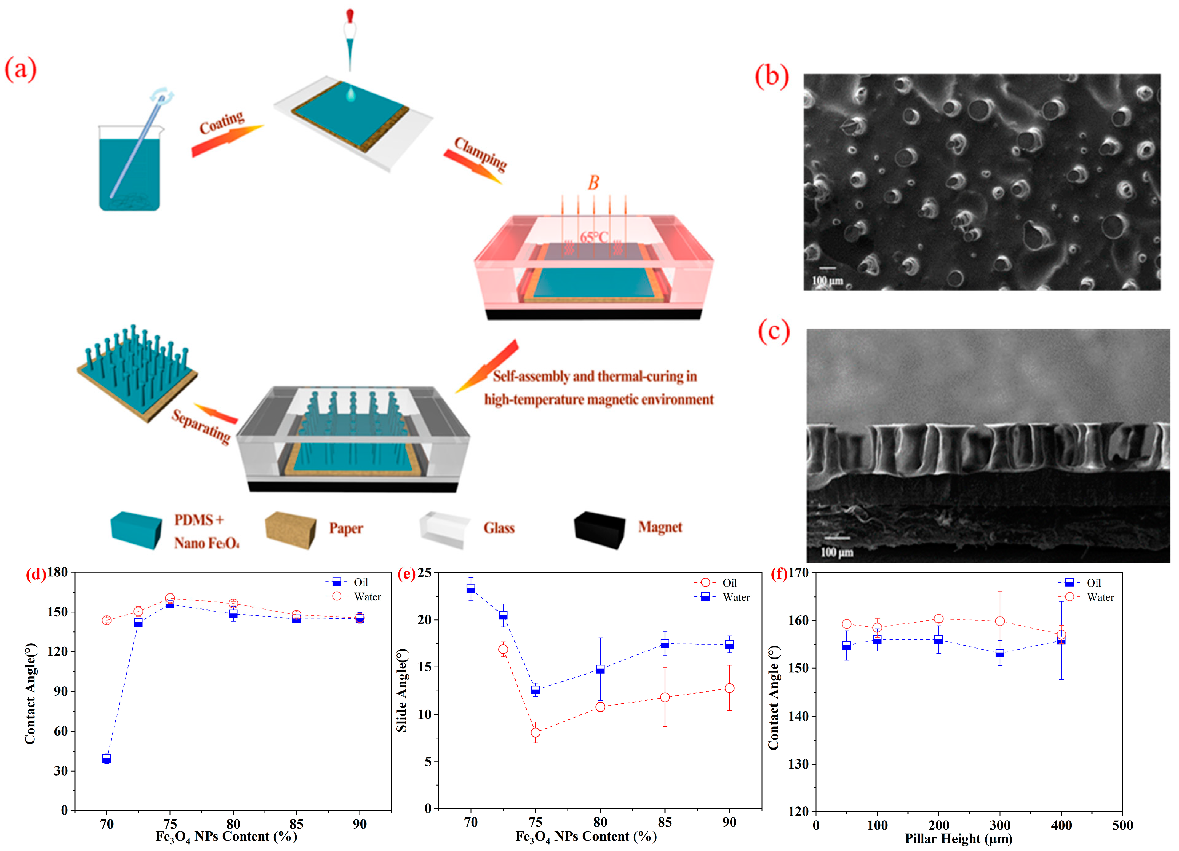 Coatings 13 00323 g001