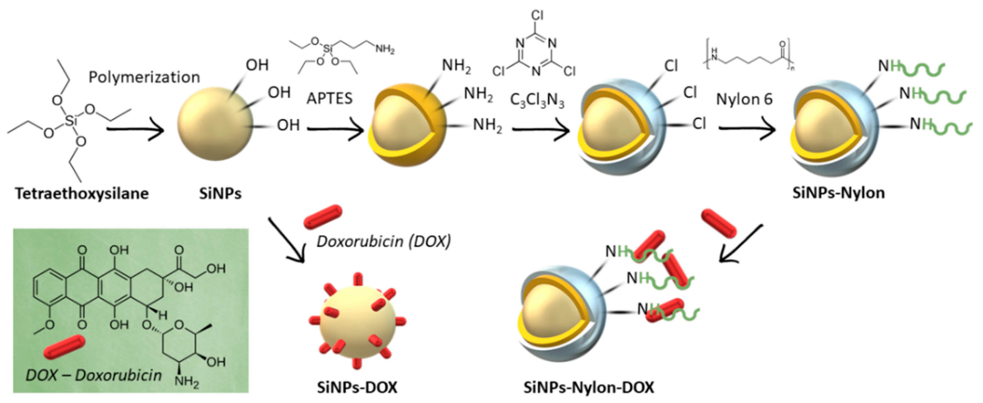 Coatings 13 00324 g002