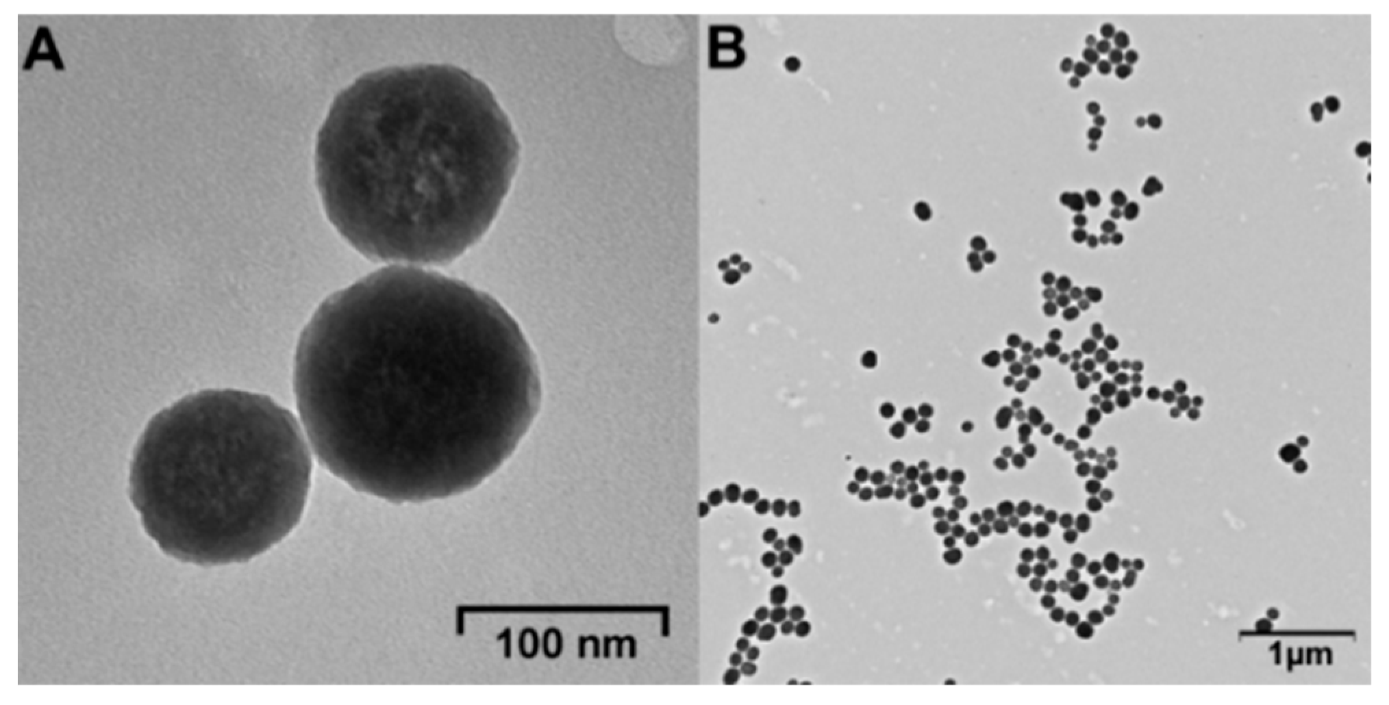 Coatings 13 00324 g003