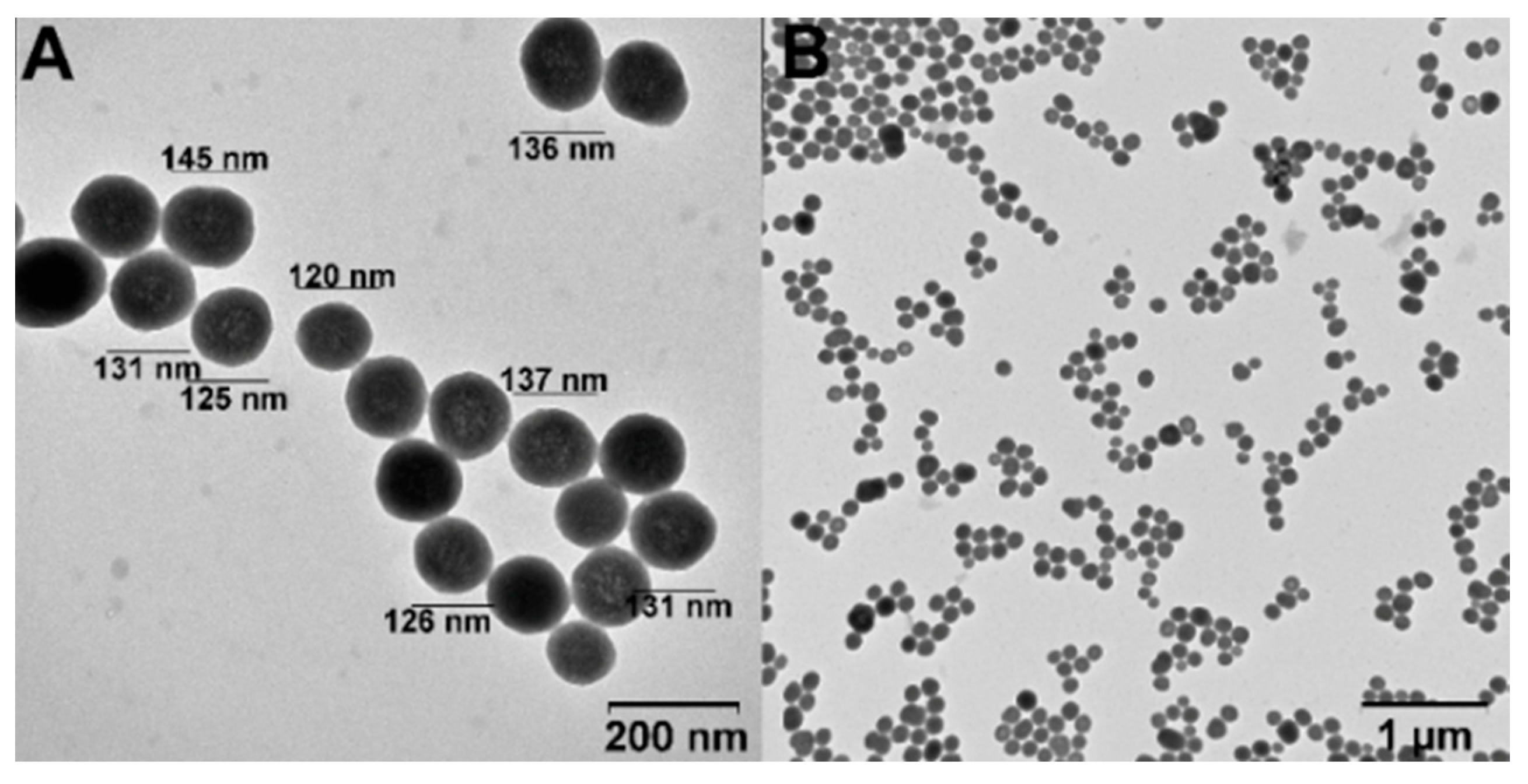 Coatings 13 00324 g004