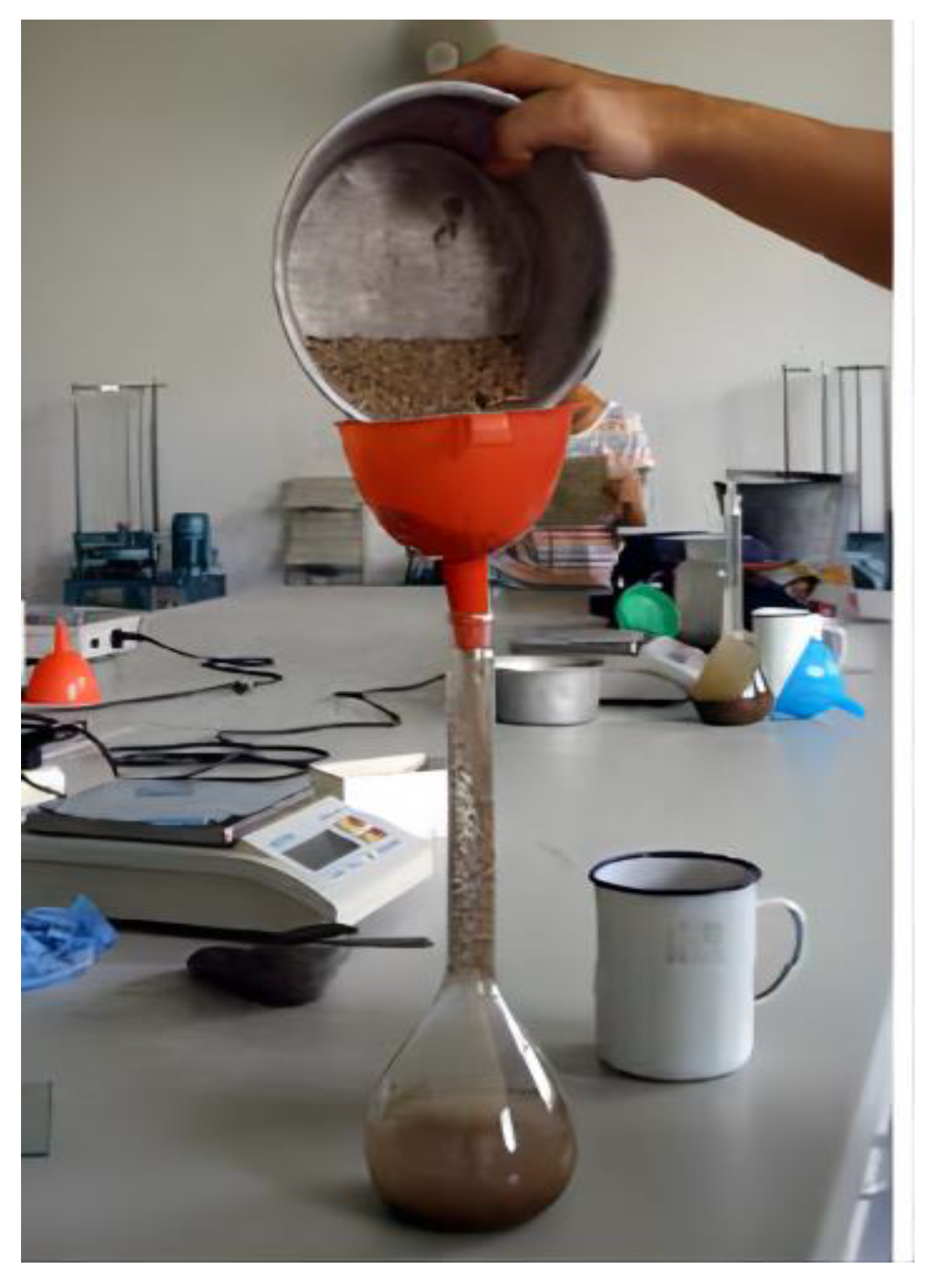 Coatings 13 00327 g002